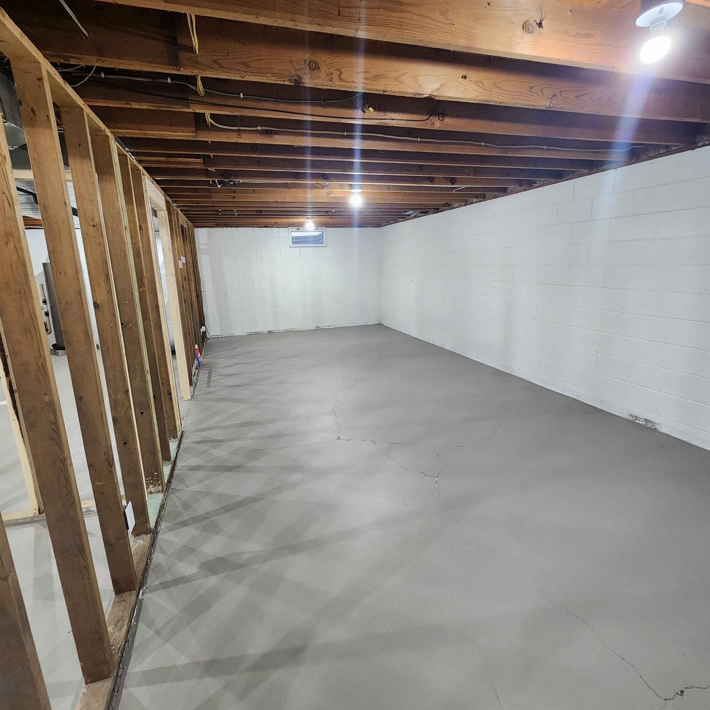 MLS #241295