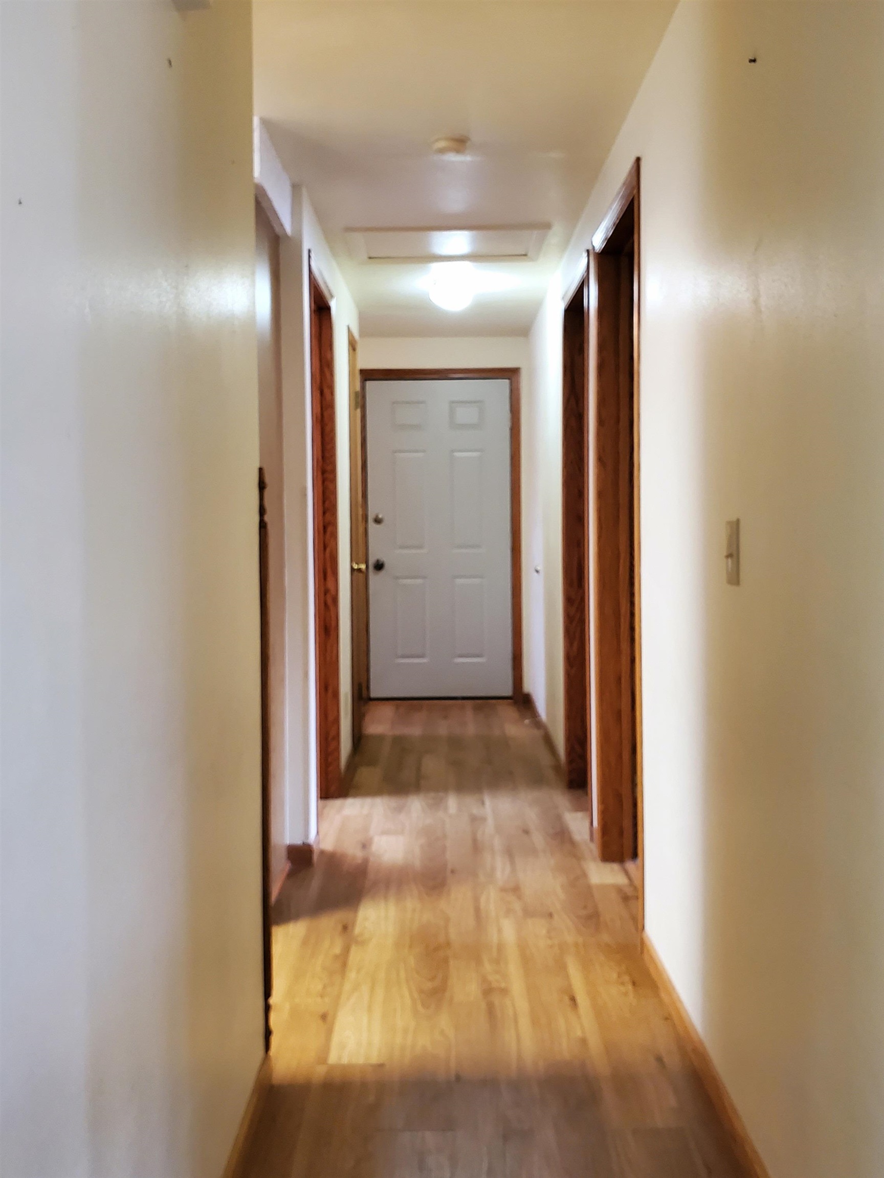 MLS #250067
