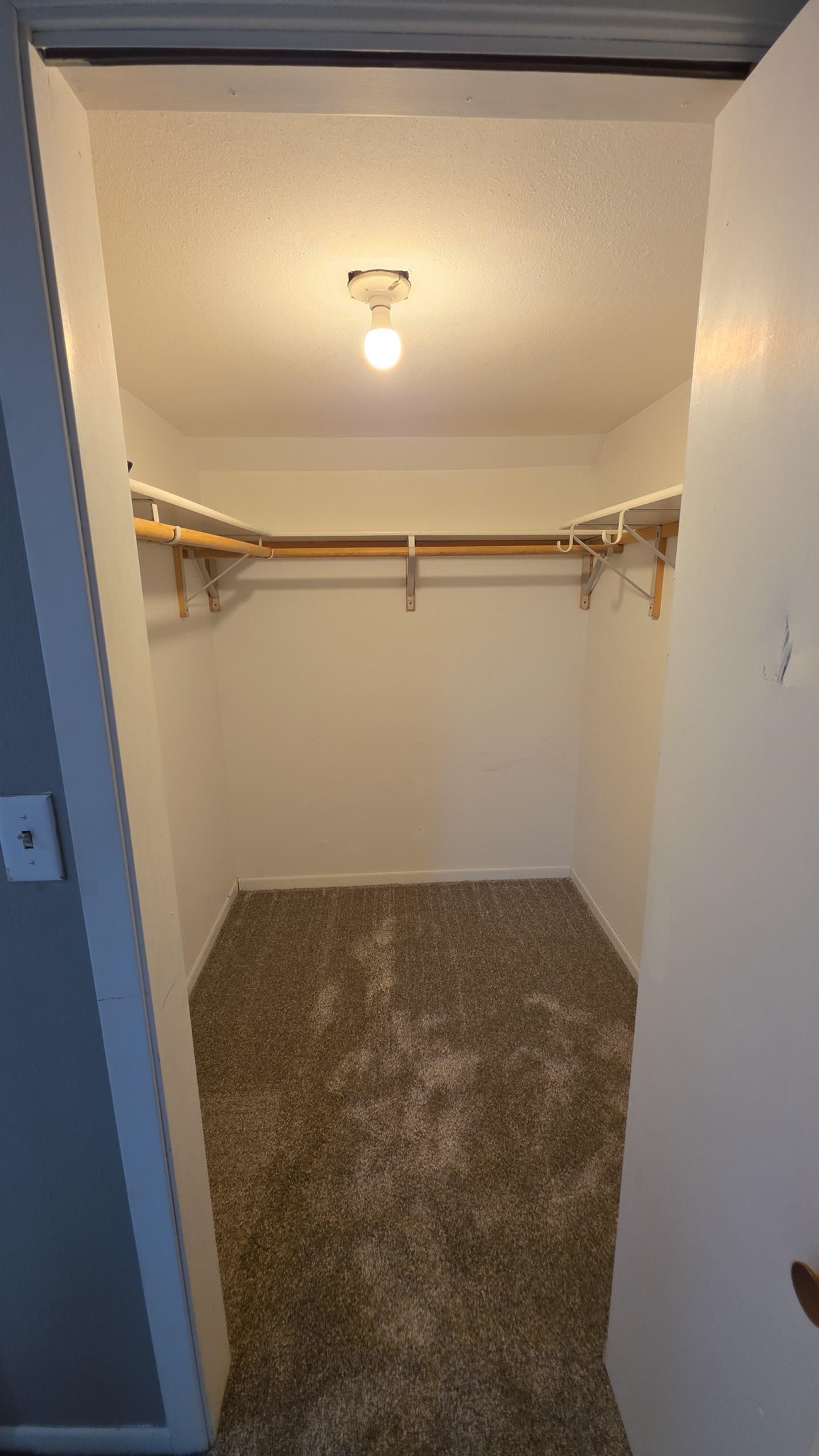 MLS #250262