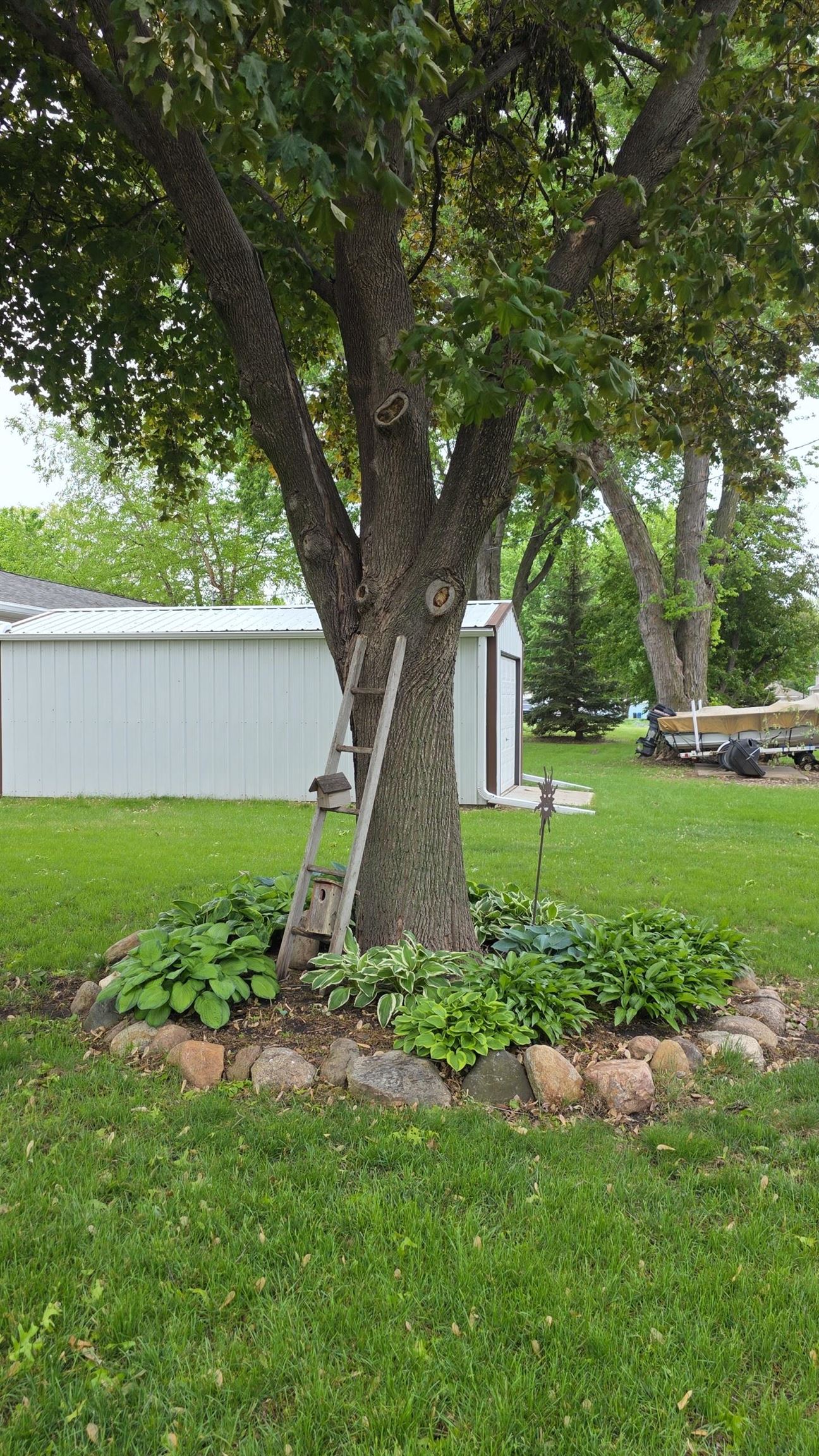 MLS #250621
