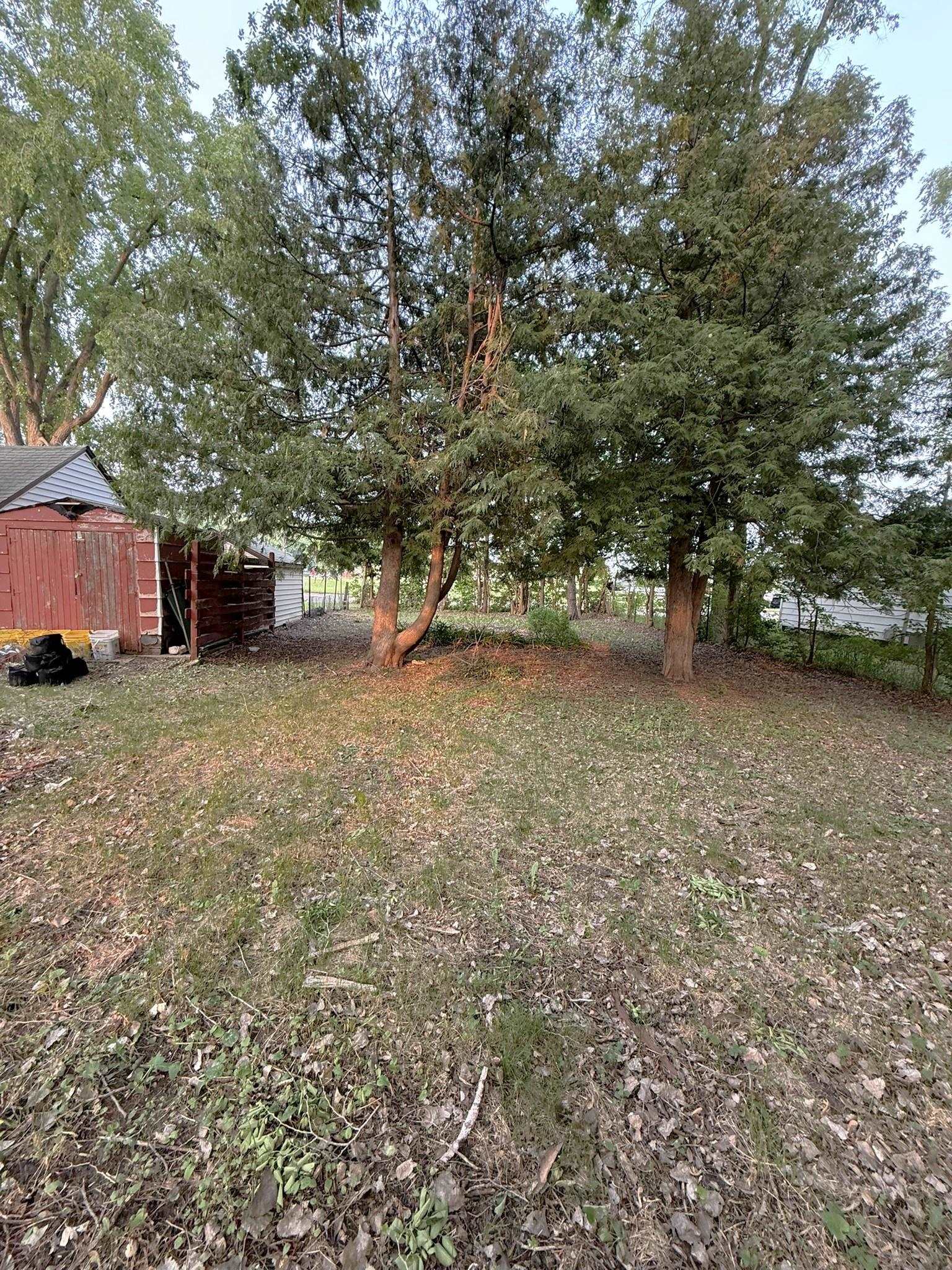 MLS #250659