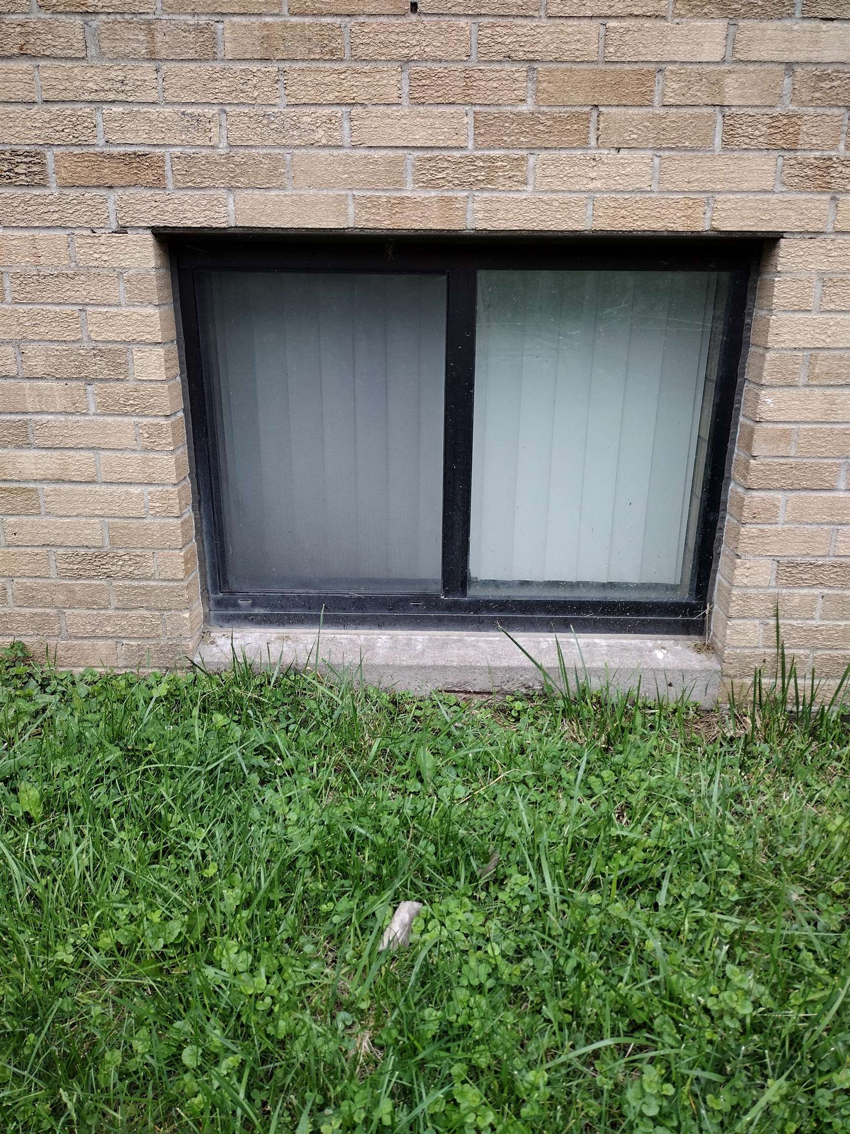 MLS #250689