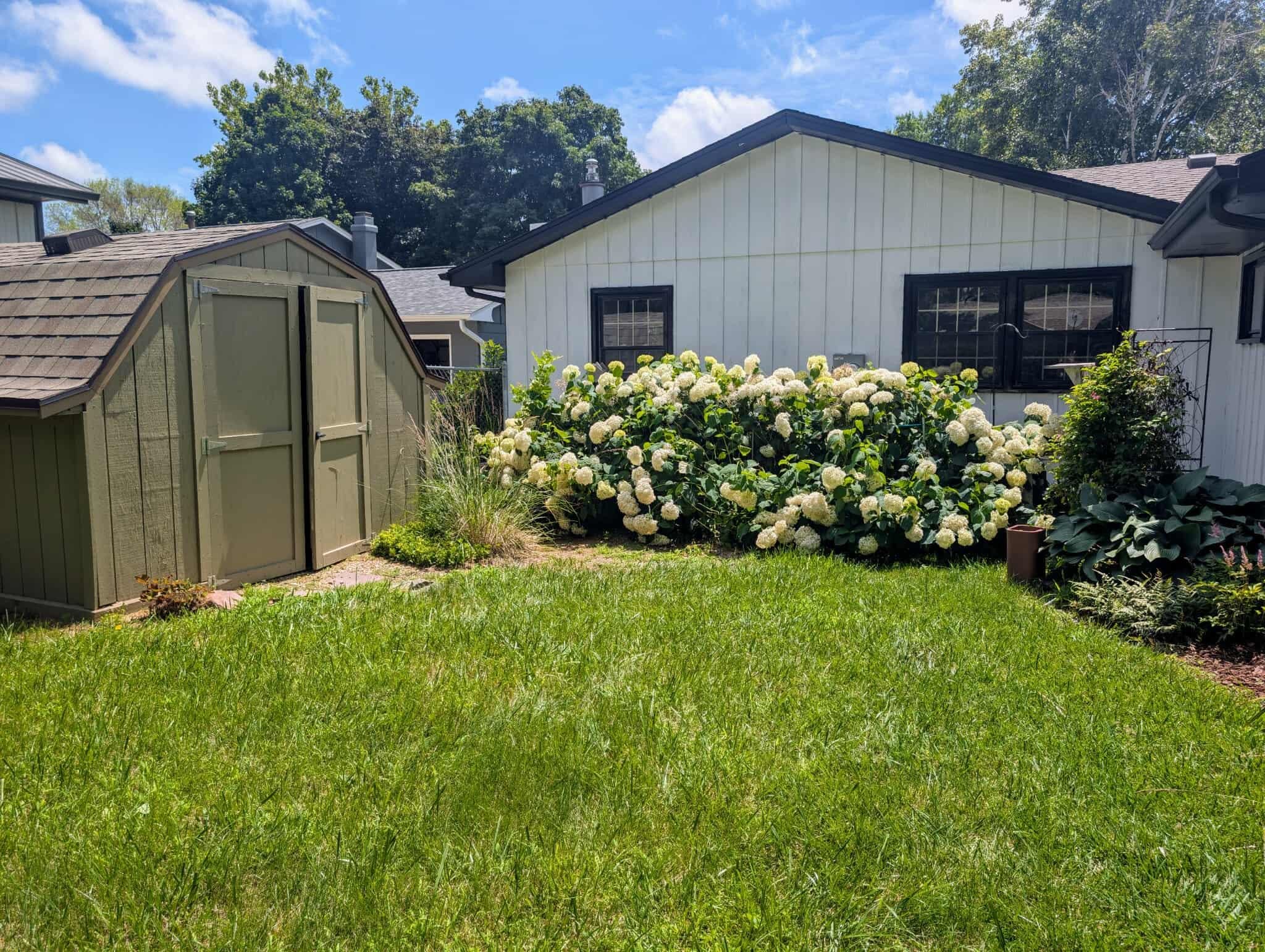 MLS #250891