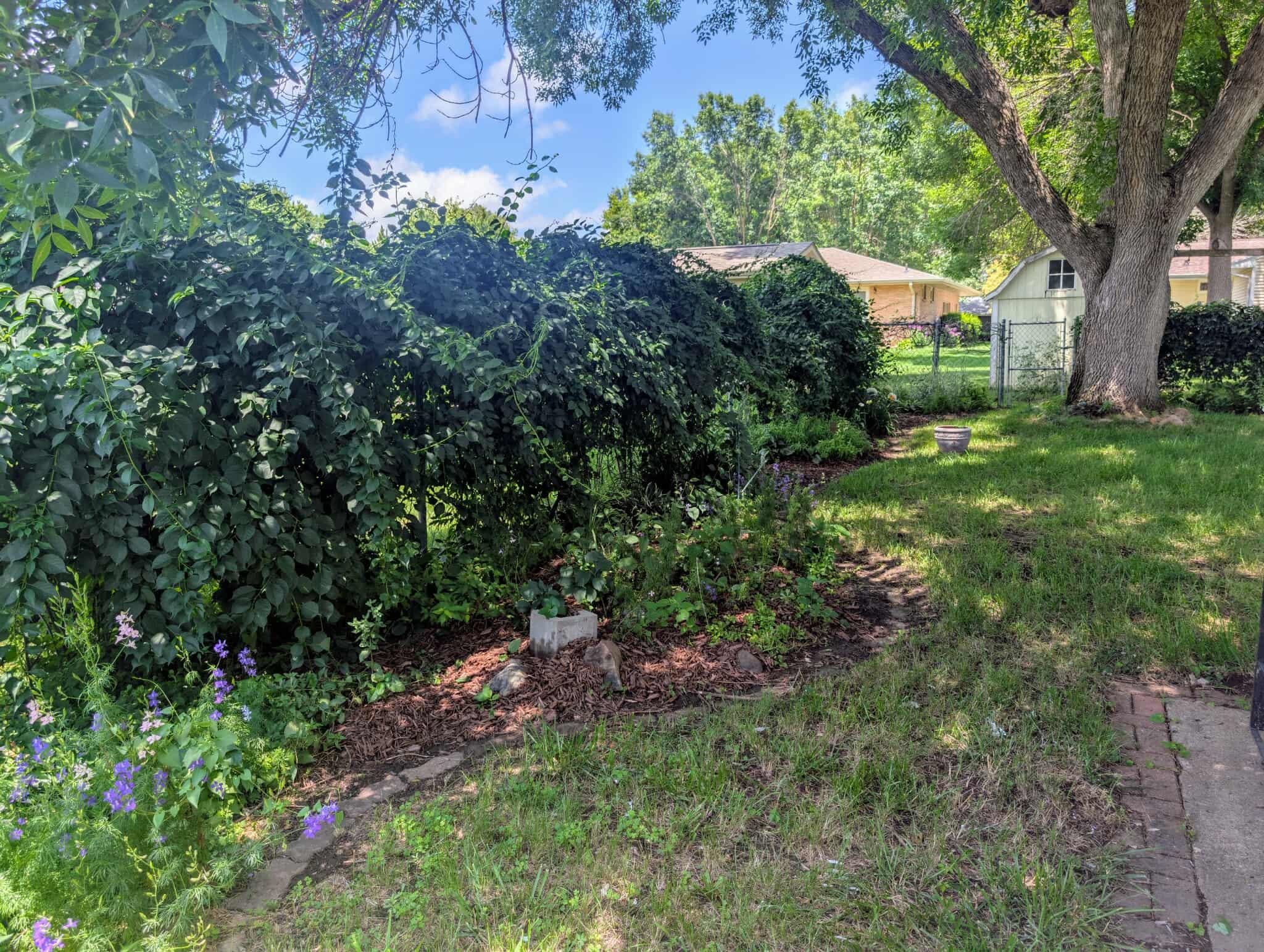 MLS #250891