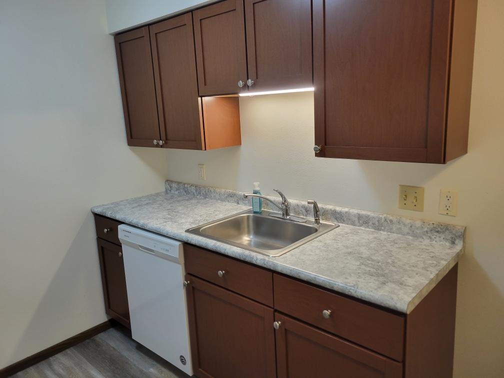 1010 16th Street #8, Spirit Lake, IA 51360 