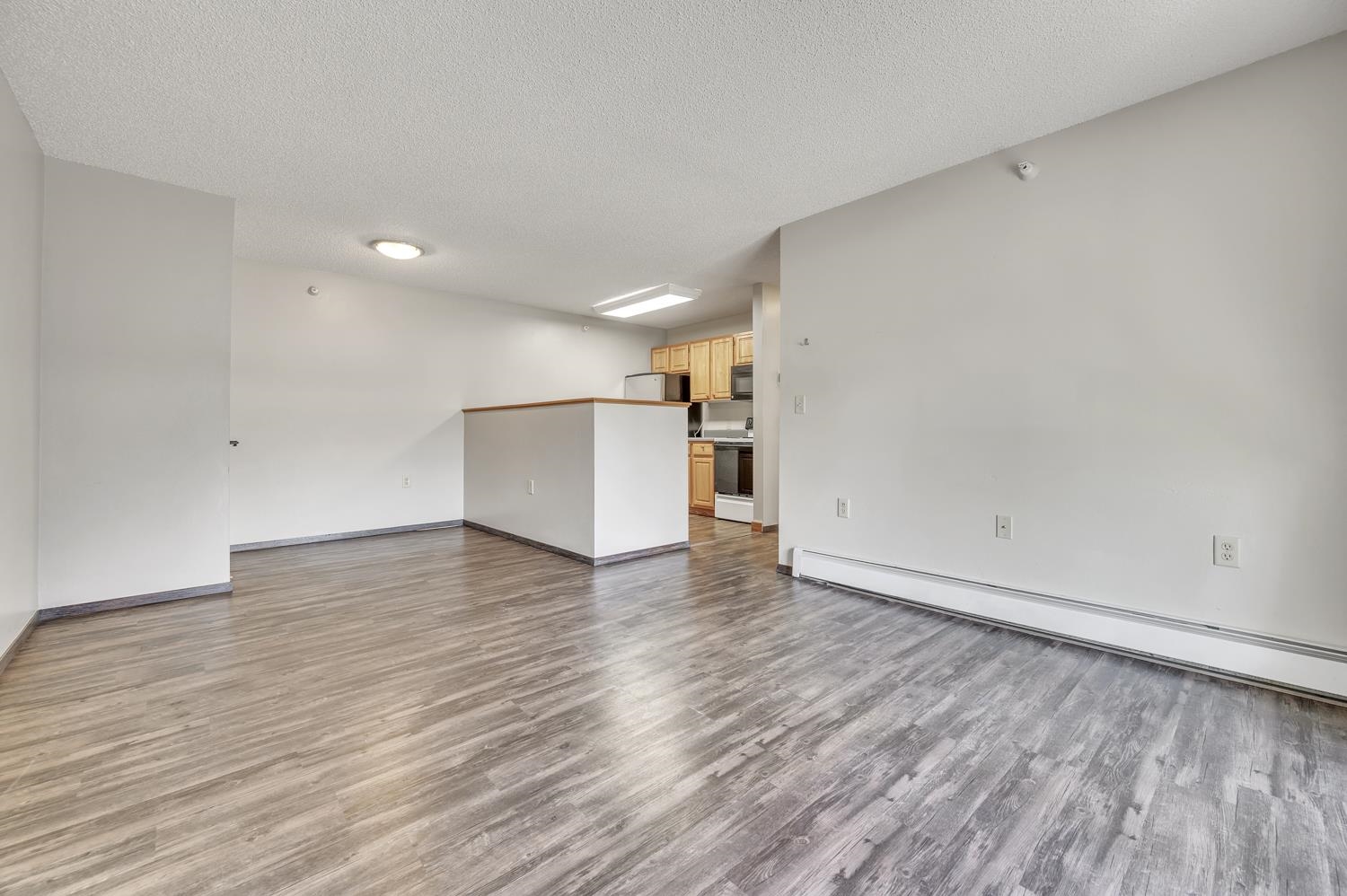 MLS #251125