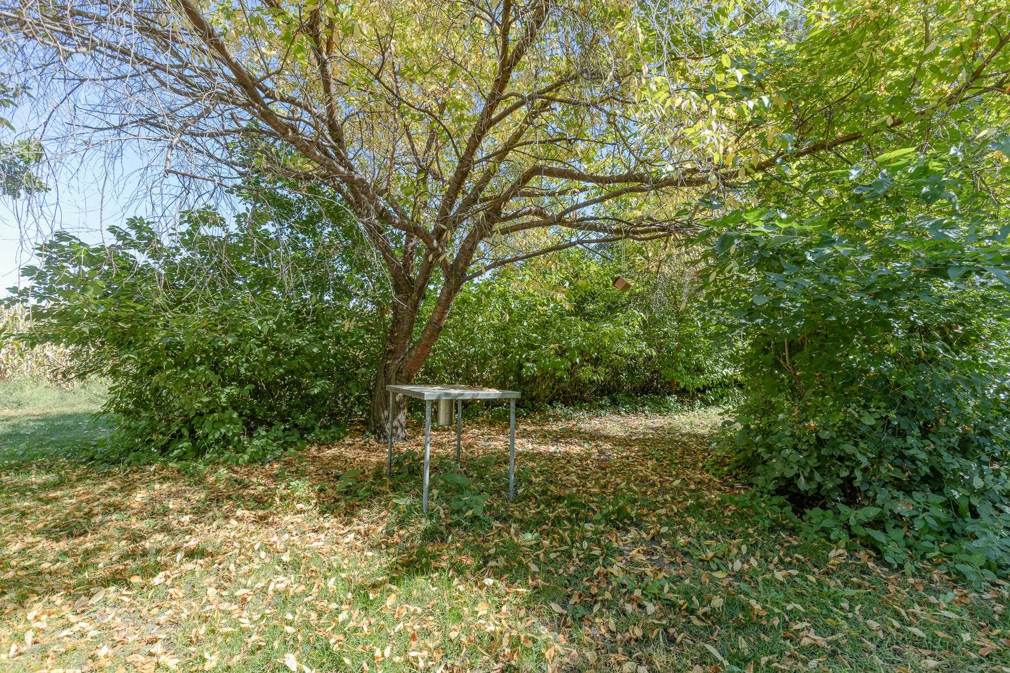 MLS #251215