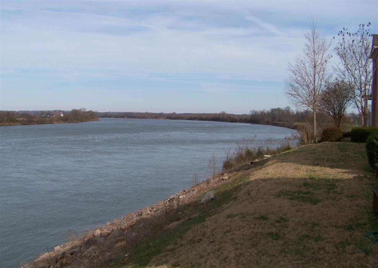 164B AQUATICVIEW WAY, Savannah, TN 38372 - JudyMac