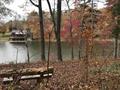 Thumbnail Photo