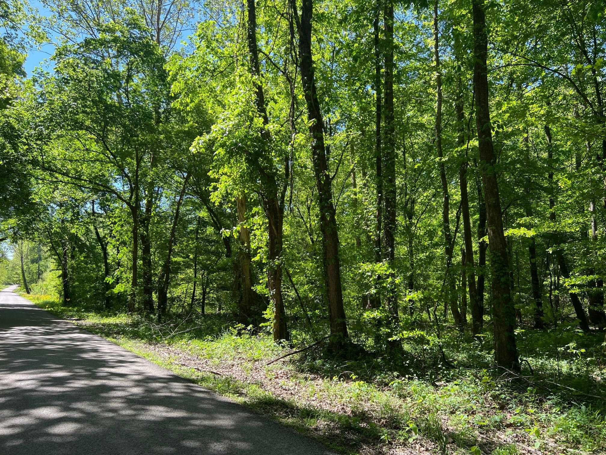 1 FEDERAL RD, SHILOH, TN 38376 Crunk Real Estate Weichert