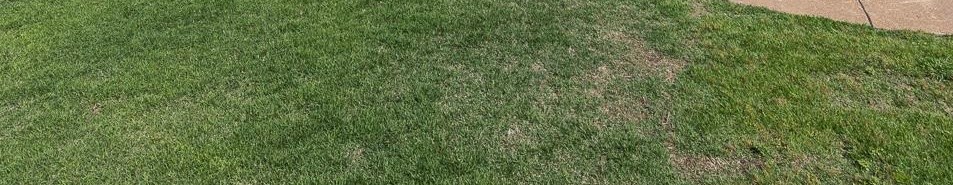 10236 W Shrewsbury Dr, Collierville, TN 38017