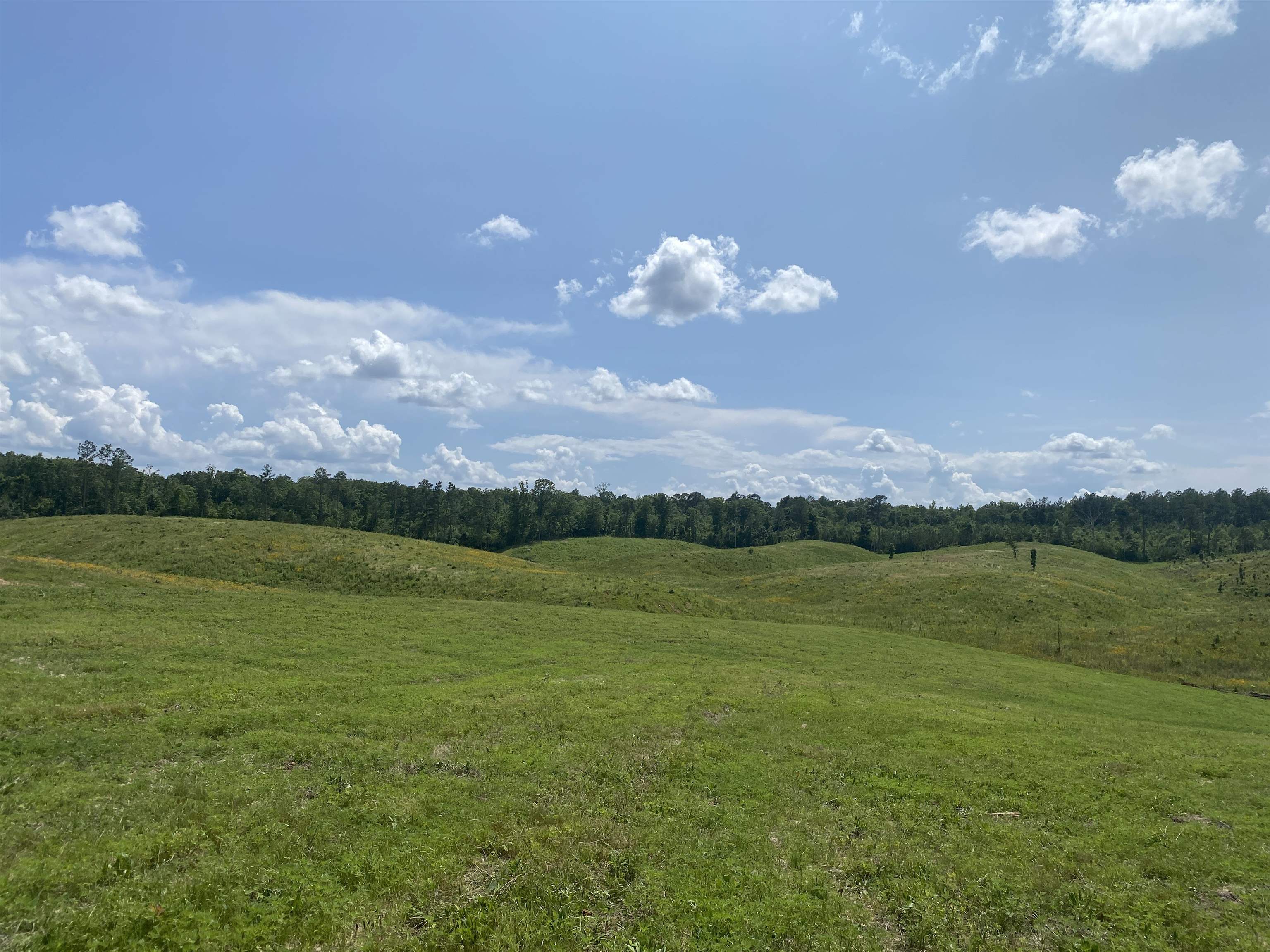 Otis Paine, Bethel Springs, Tennessee image 8