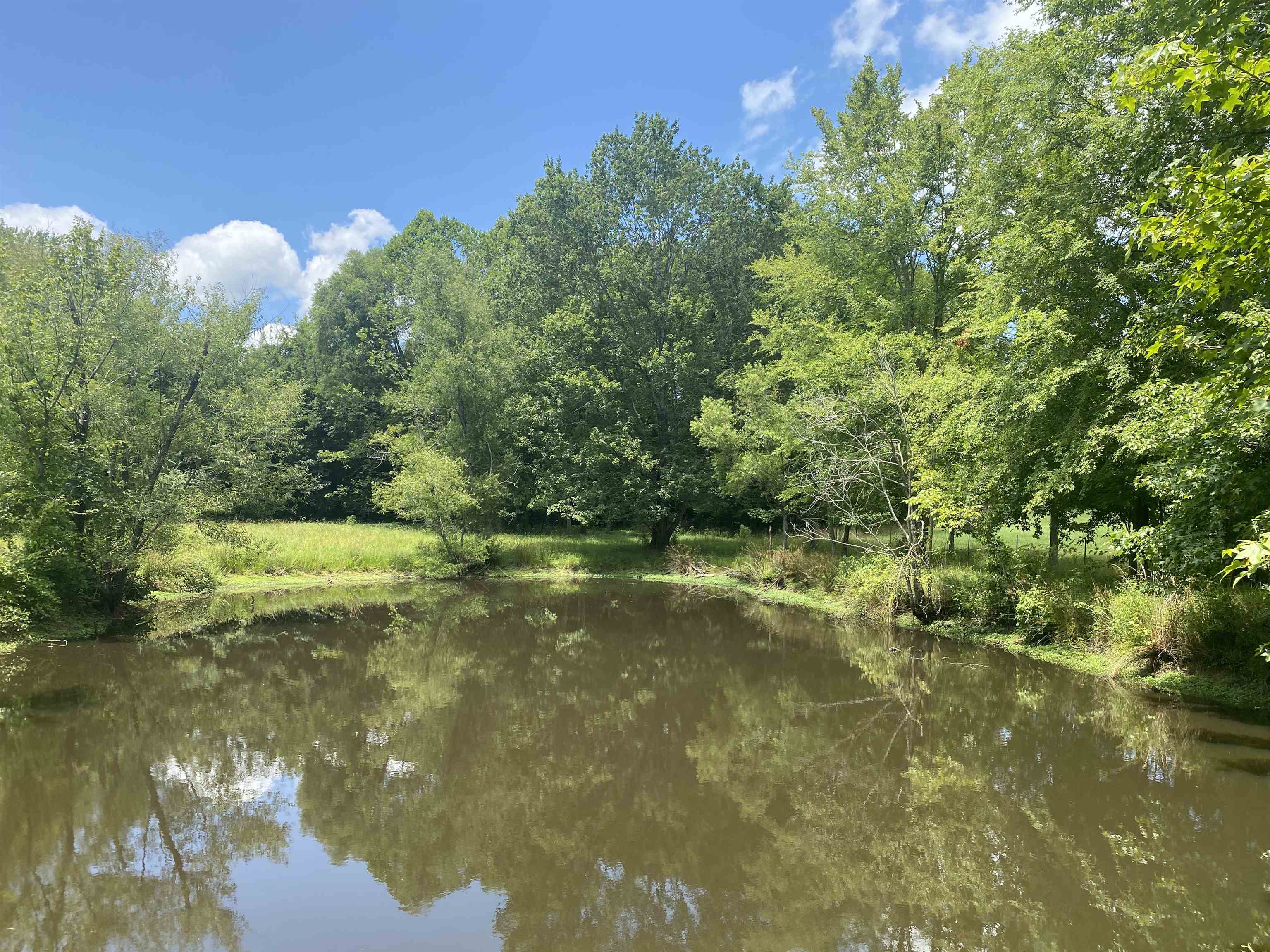 0 WINDING RIDGE RD, ADAMSVILLE, TN 38310 Farm & Home Realty Selmer