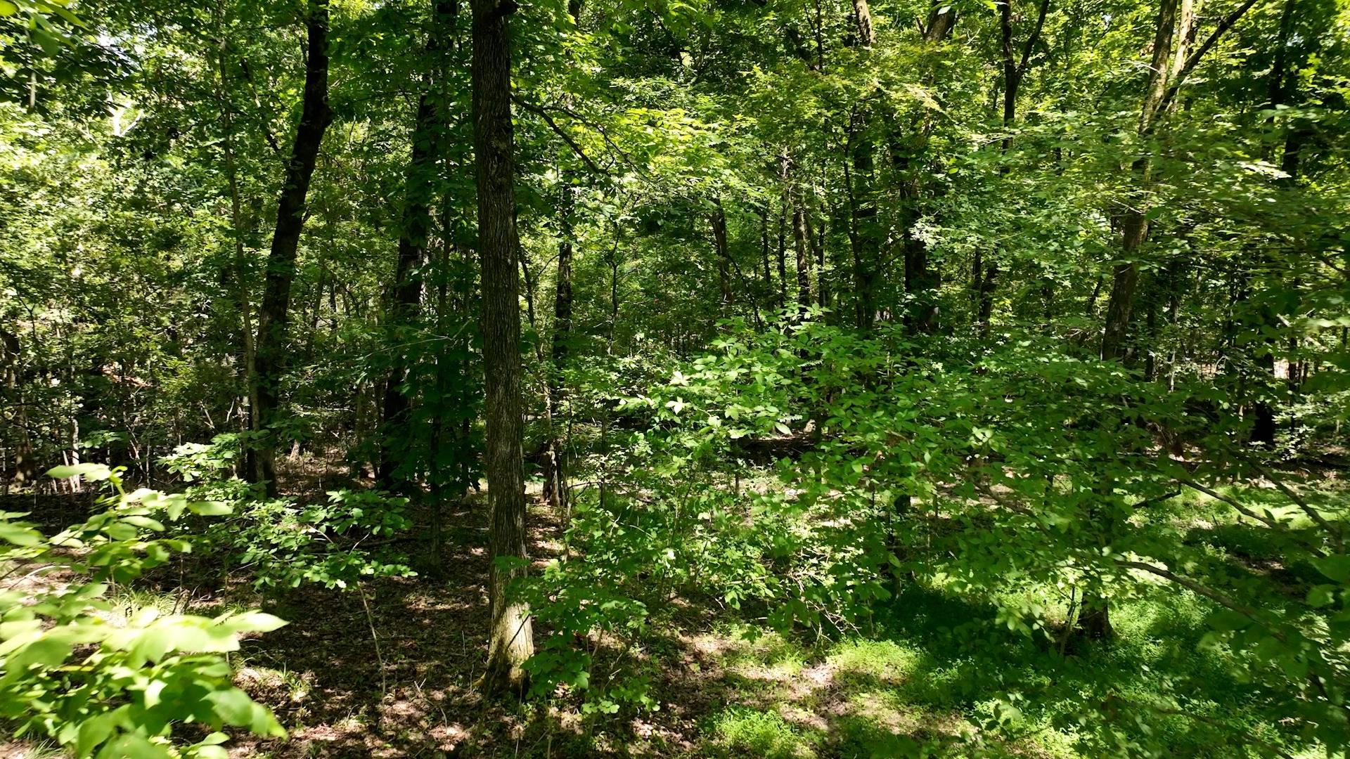 8843 Us 70, Arlington, Tennessee image 12