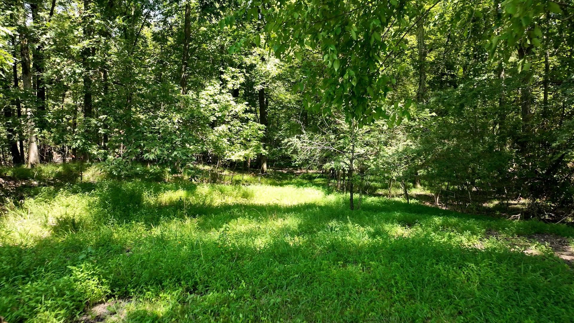 8843 Us 70, Arlington, Tennessee image 13
