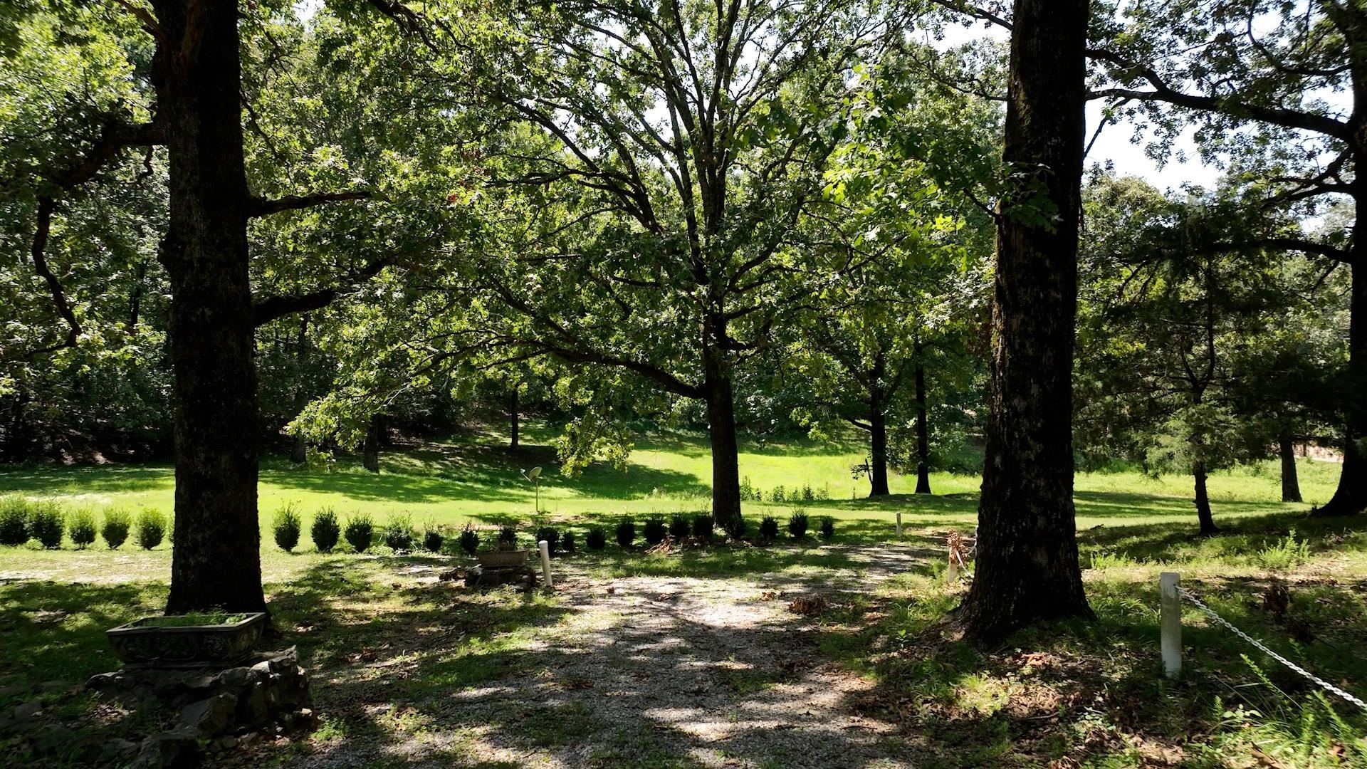 8843 Us 70, Arlington, Tennessee image 4