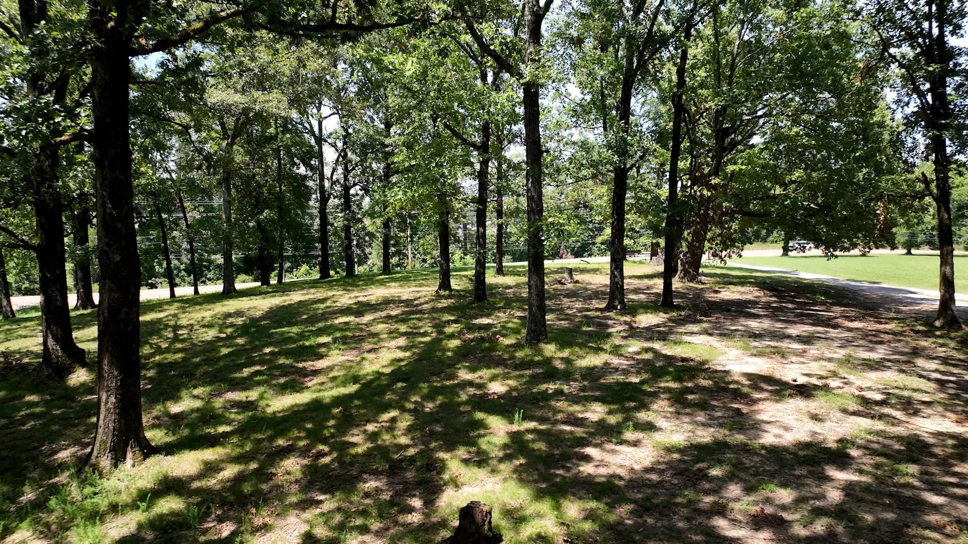 8843 Us 70, Arlington, Tennessee image 6