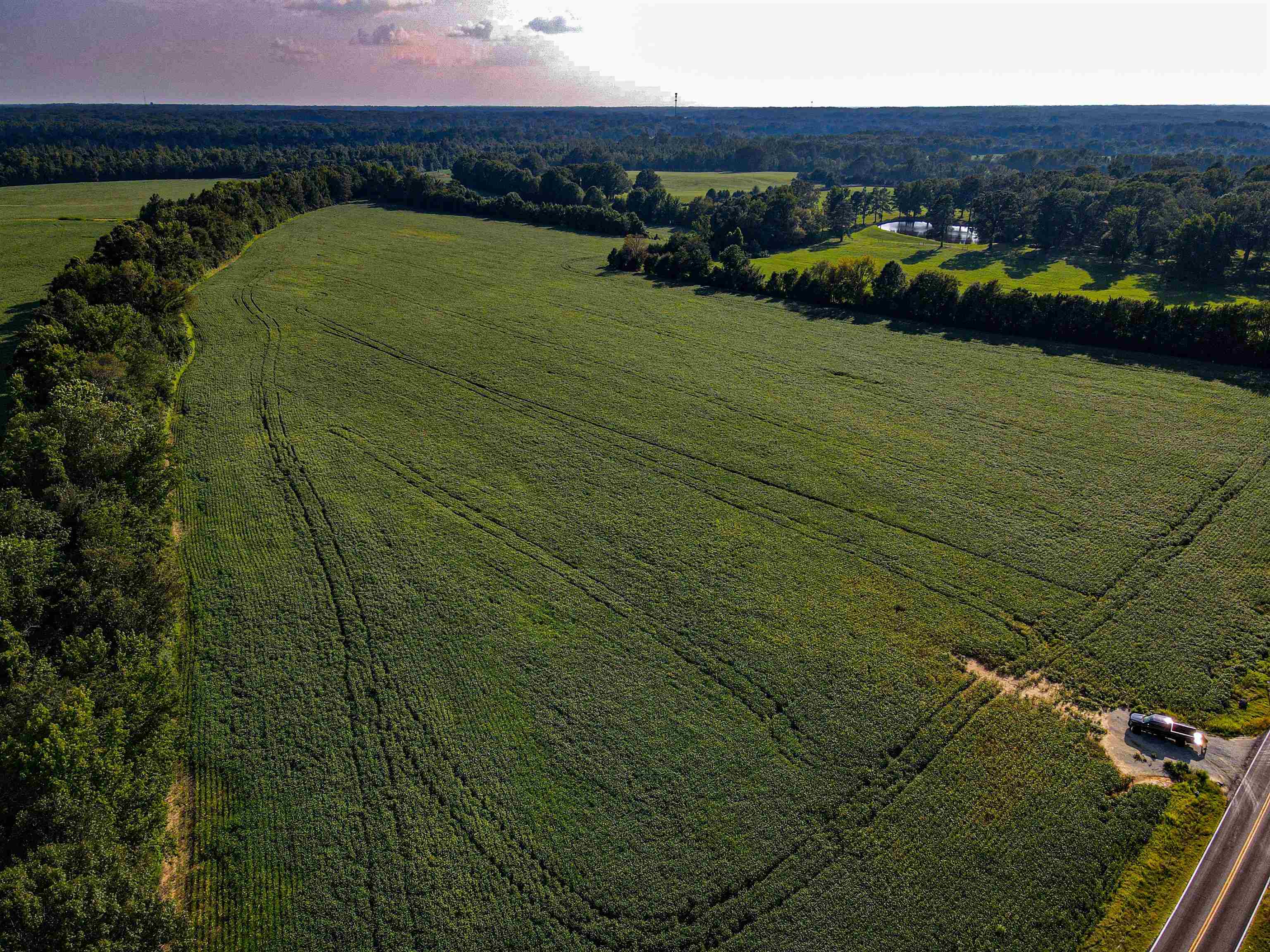 Bragg, Arlington, Tennessee image 1