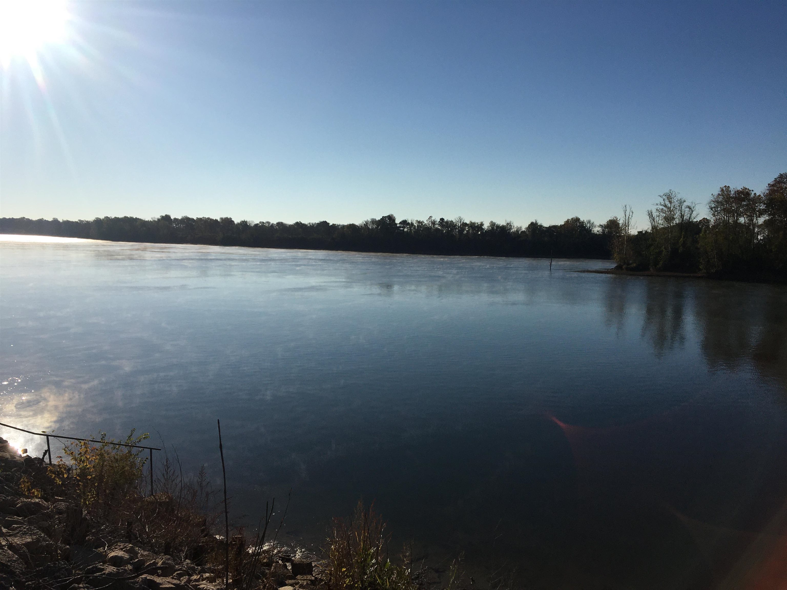 1296 Catfish, Crump, Tennessee image 7