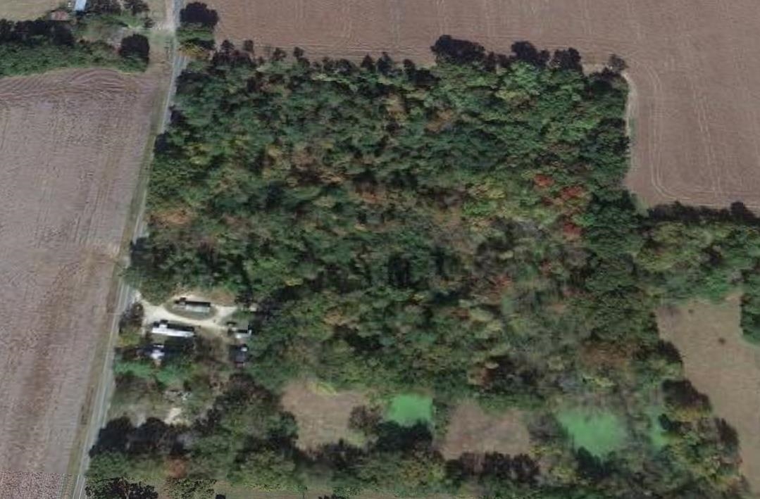 00 Highway 179, Whiteville, Tennessee image 1