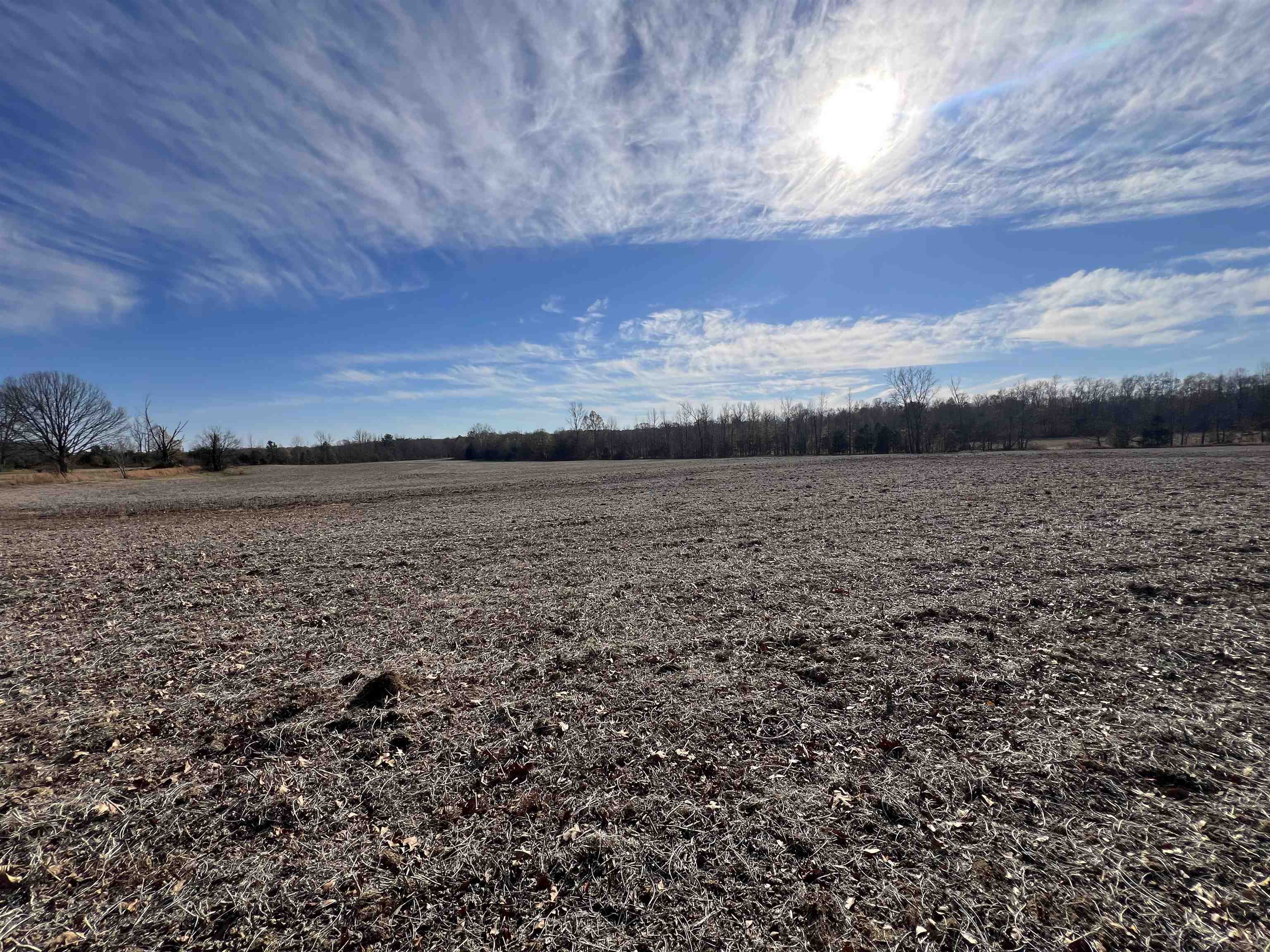 335 WILL COLN LN, MICHIE, TN 38357 Justin Johnson Realty