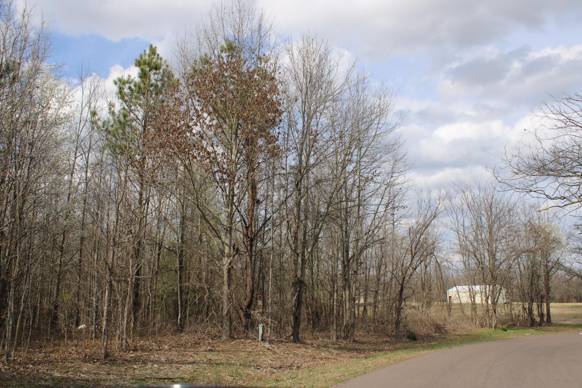 00 Old Brownsville, Ripley, Tennessee image 8