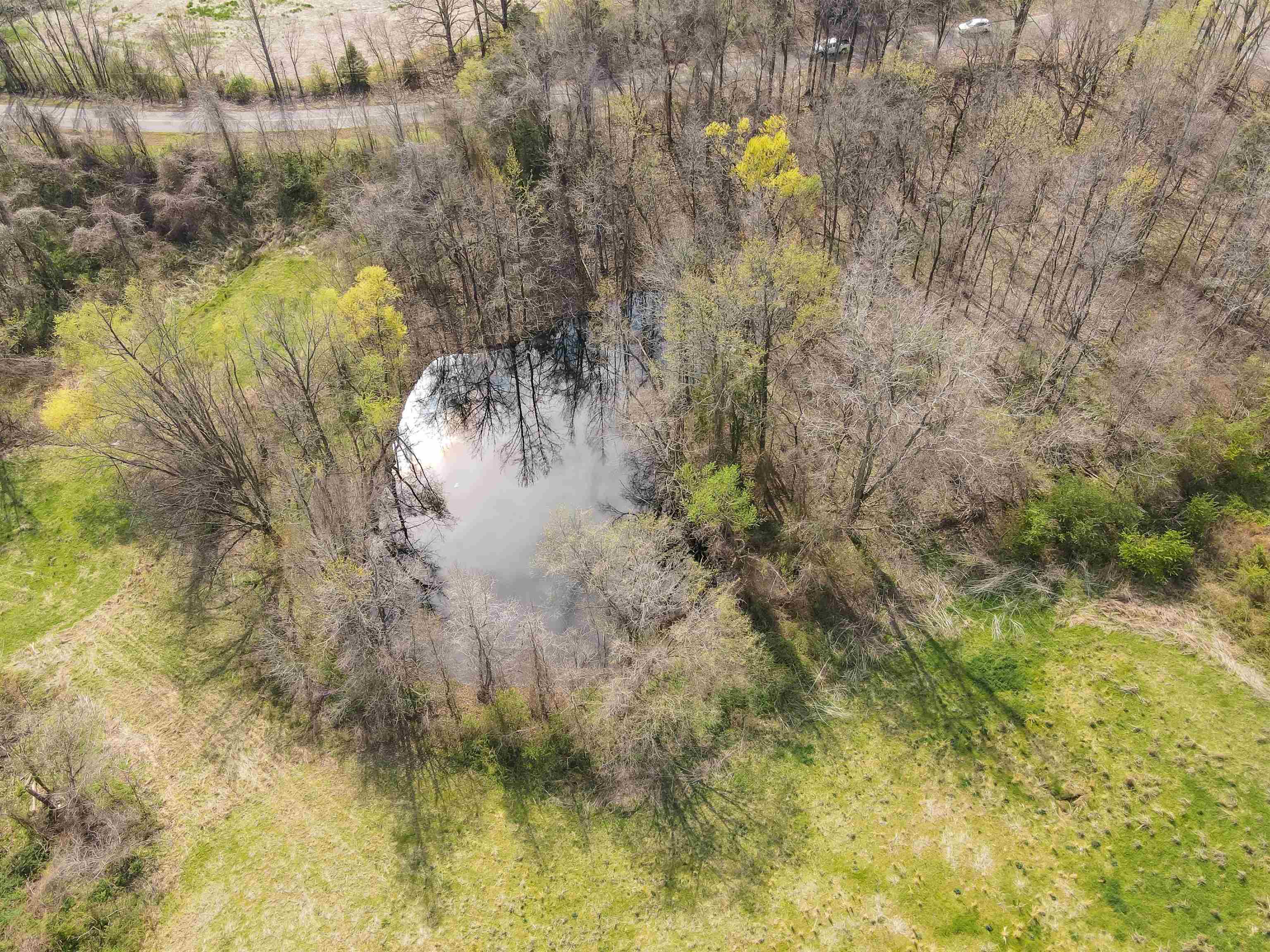 William Switch, Ripley, Tennessee image 12
