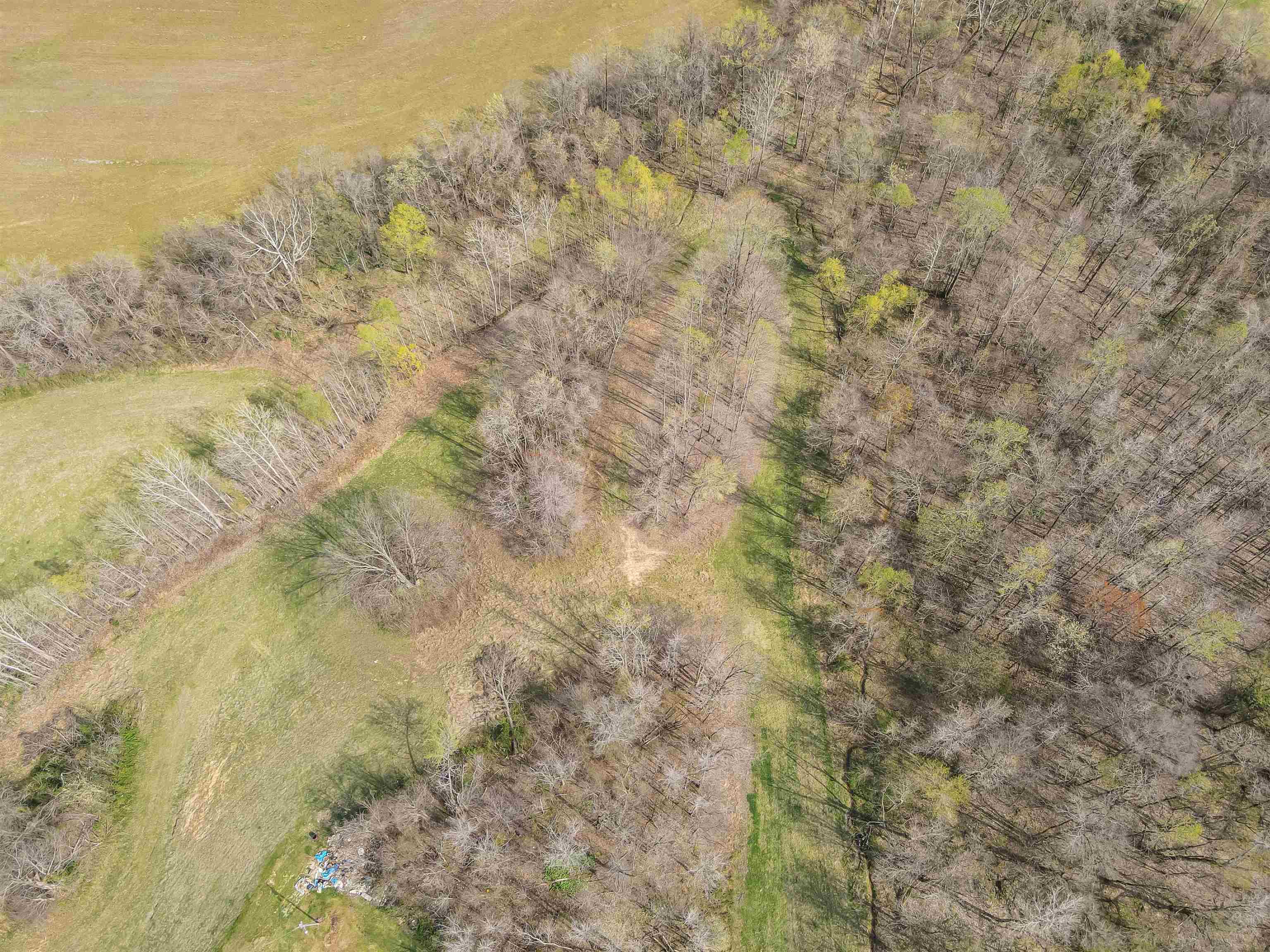 William Switch, Ripley, Tennessee image 15