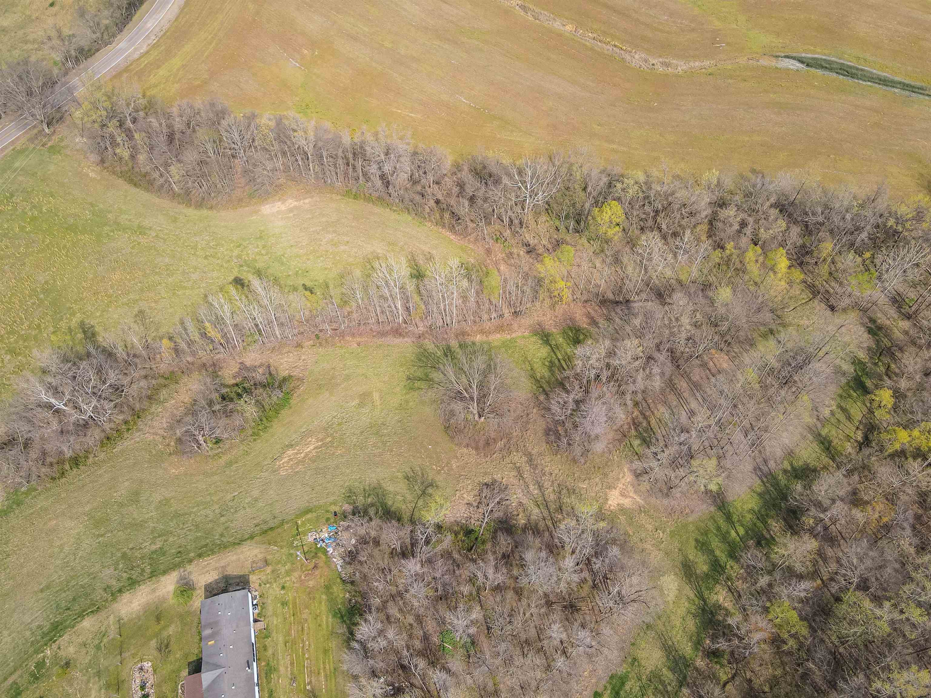 William Switch, Ripley, Tennessee image 16