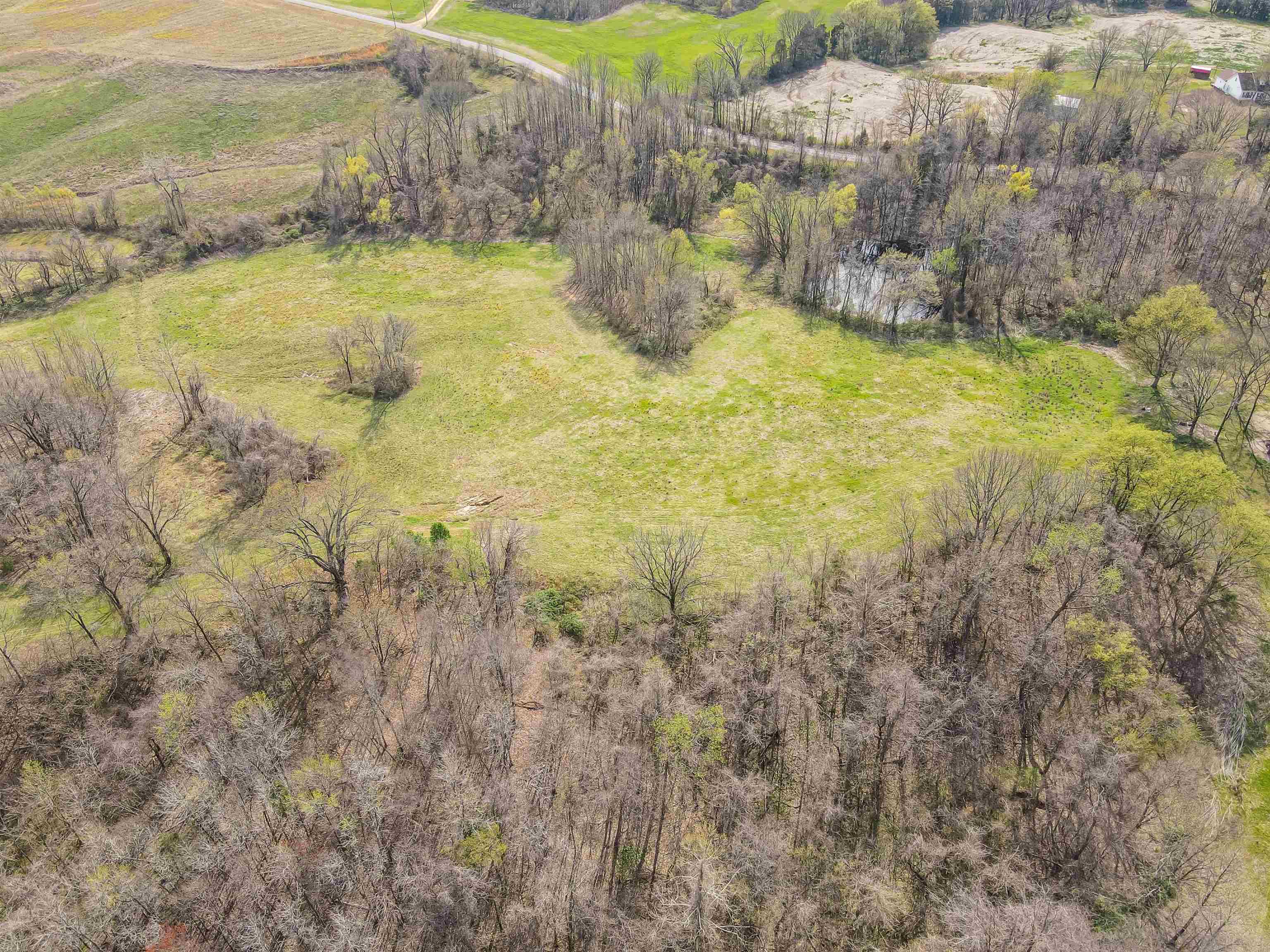 William Switch, Ripley, Tennessee image 6