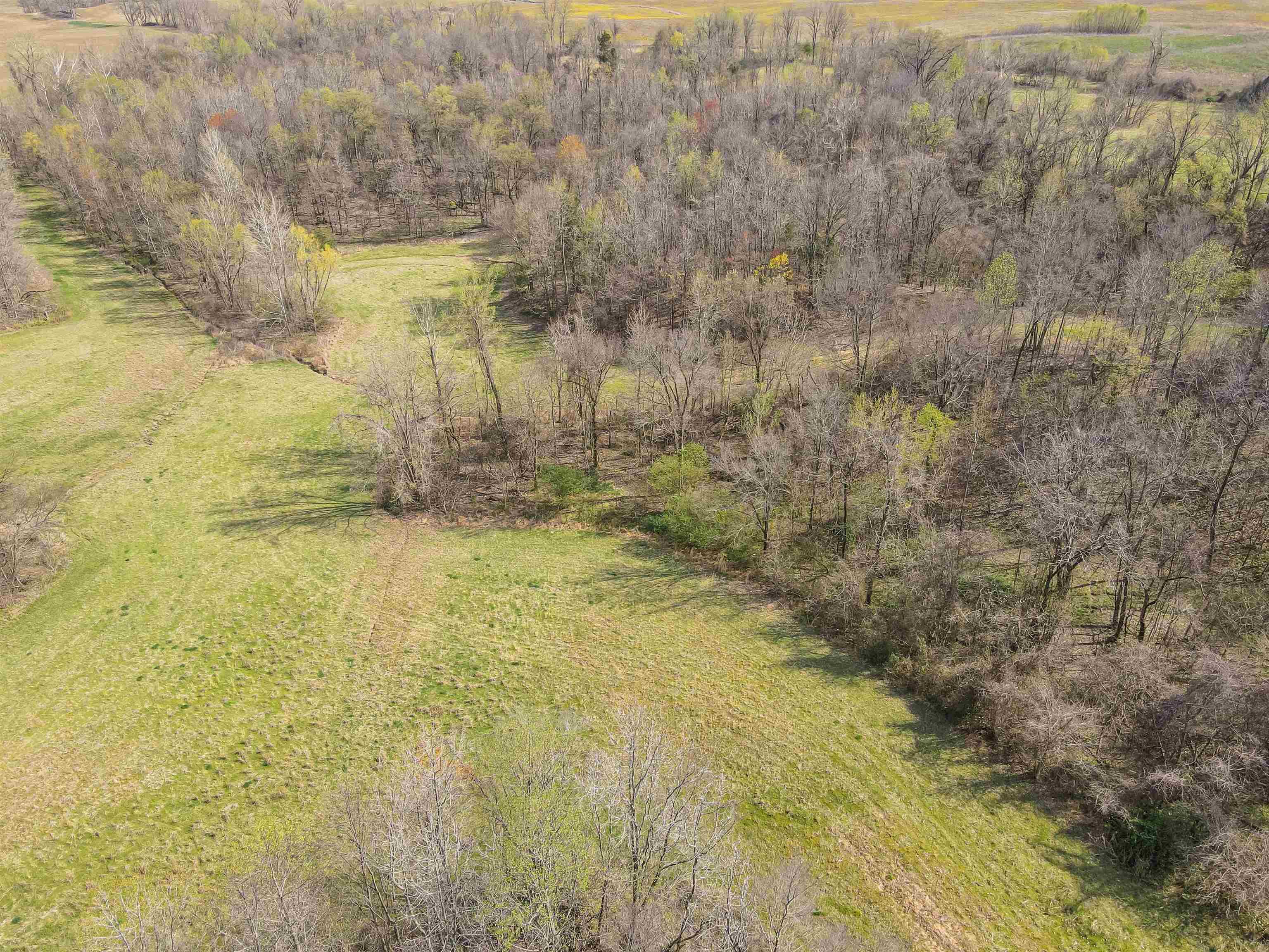 William Switch, Ripley, Tennessee image 8