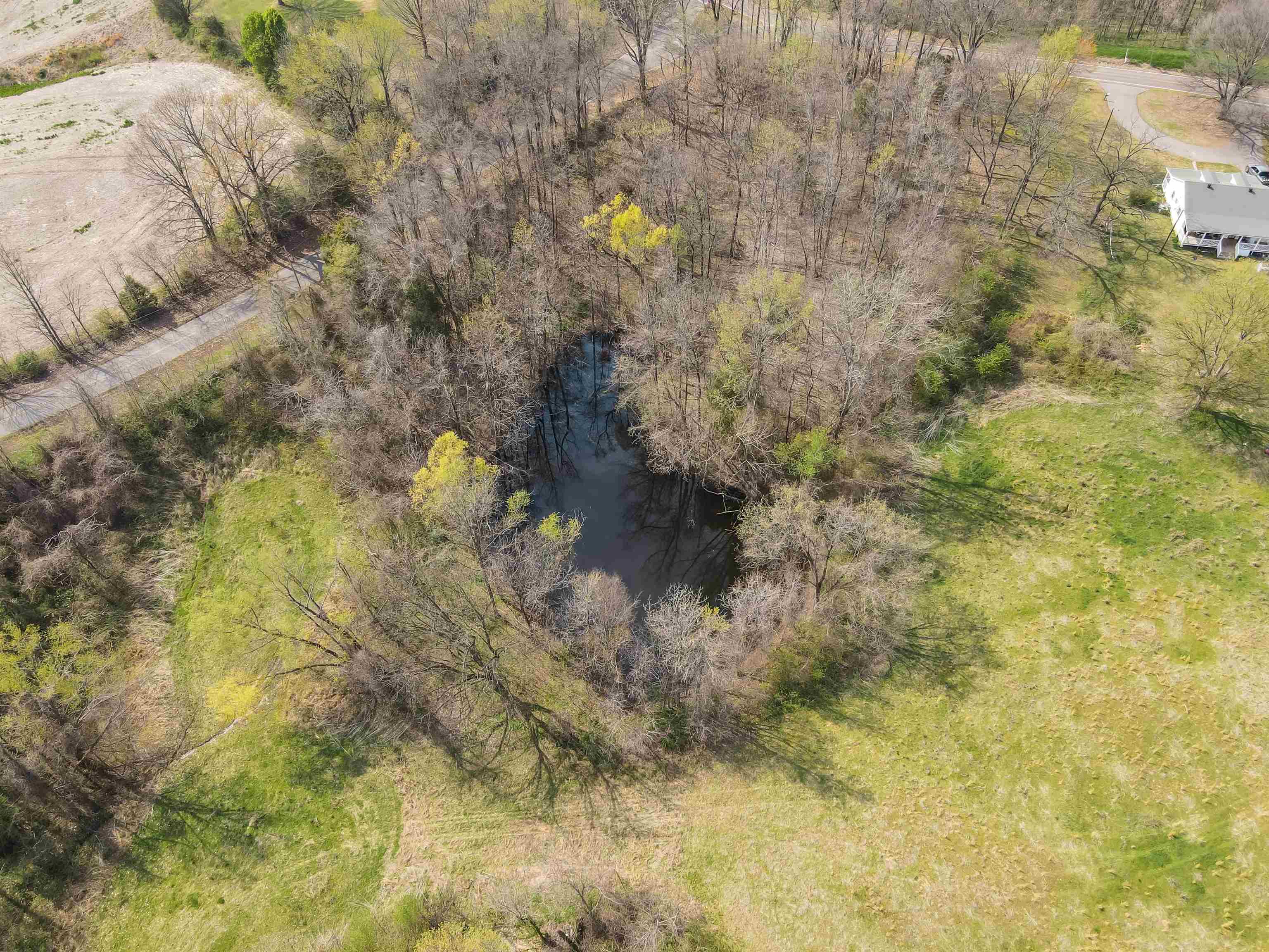 William Switch, Ripley, Tennessee image 9