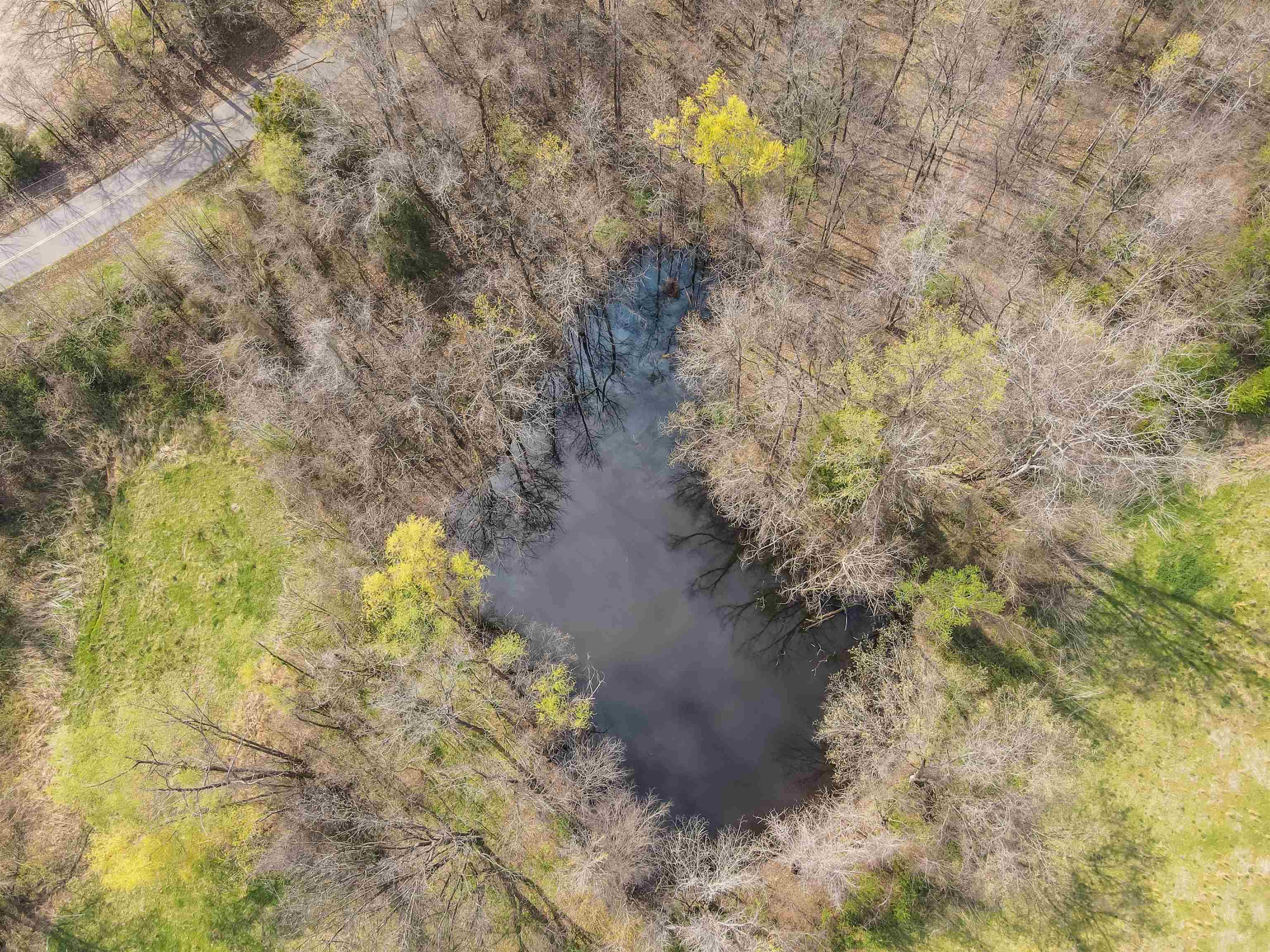 William Switch, Ripley, Tennessee image 10