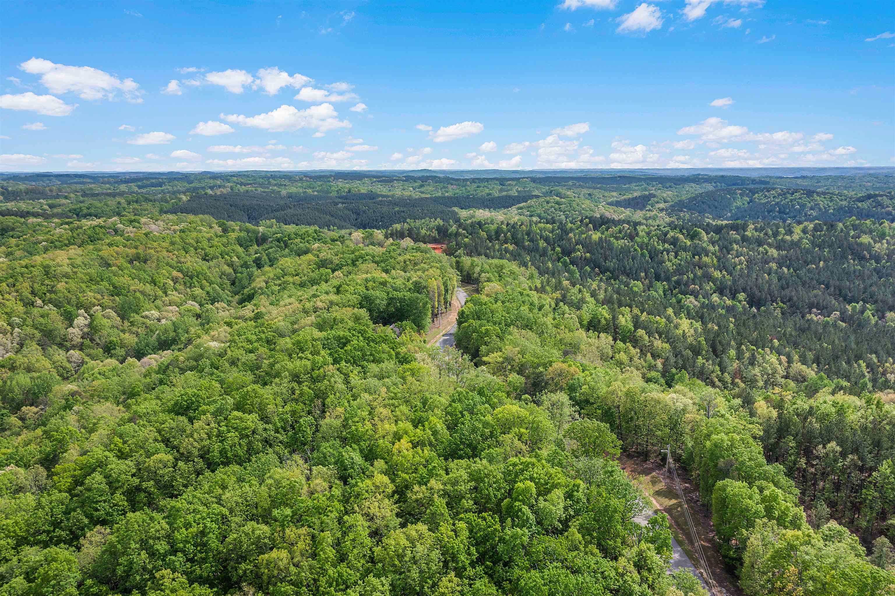 LOT 2 Phase 1 Eagle Point, Cherokee, Alabama image 8