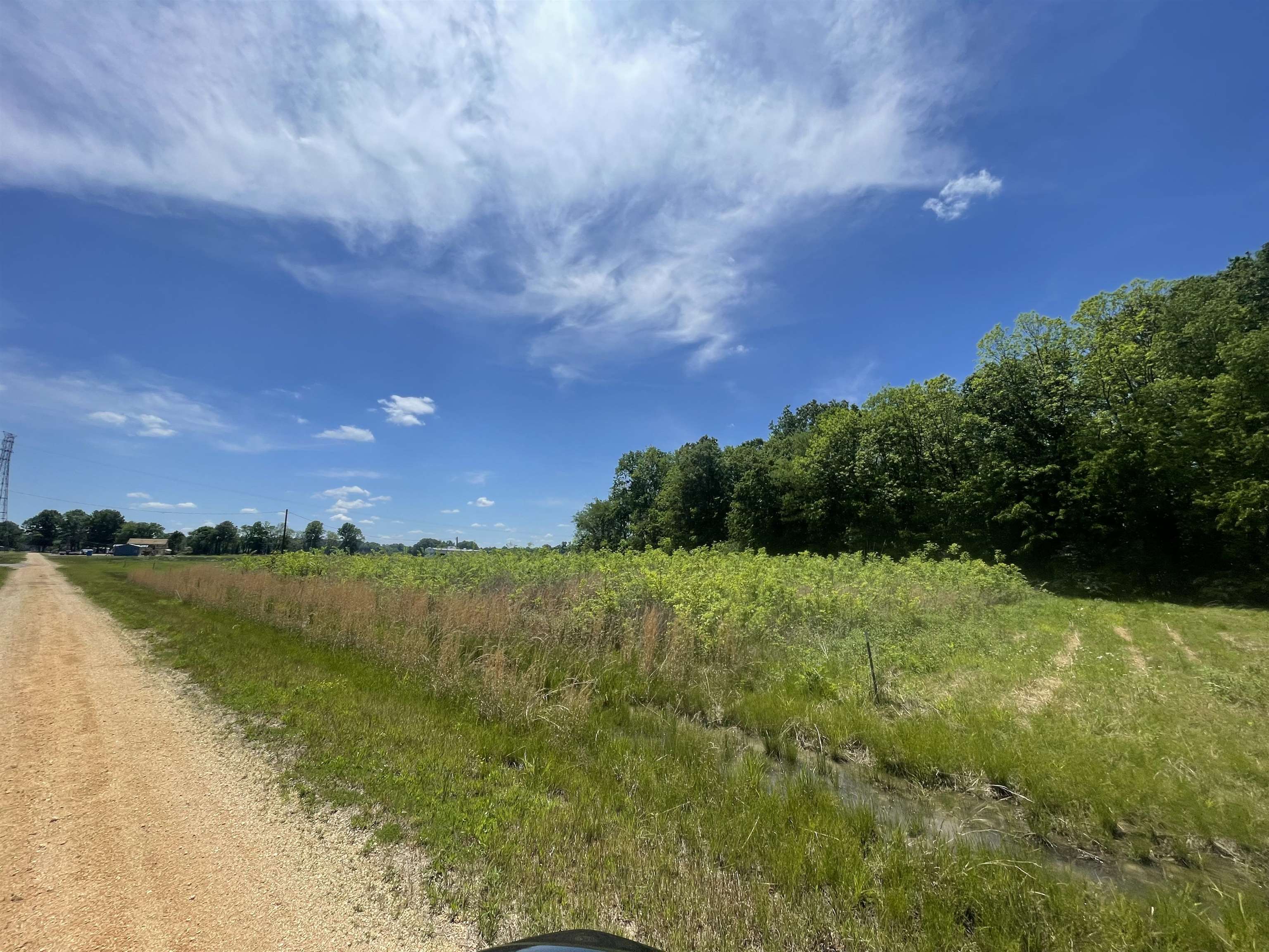 LOT 20 Nash Landing, Counce, Tennessee image 8