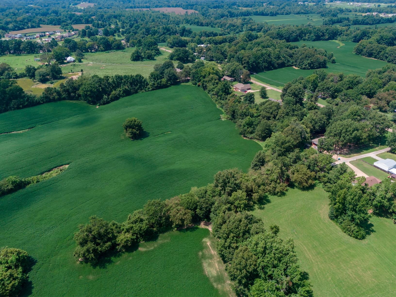 Campbell, Munford, Tennessee image 14