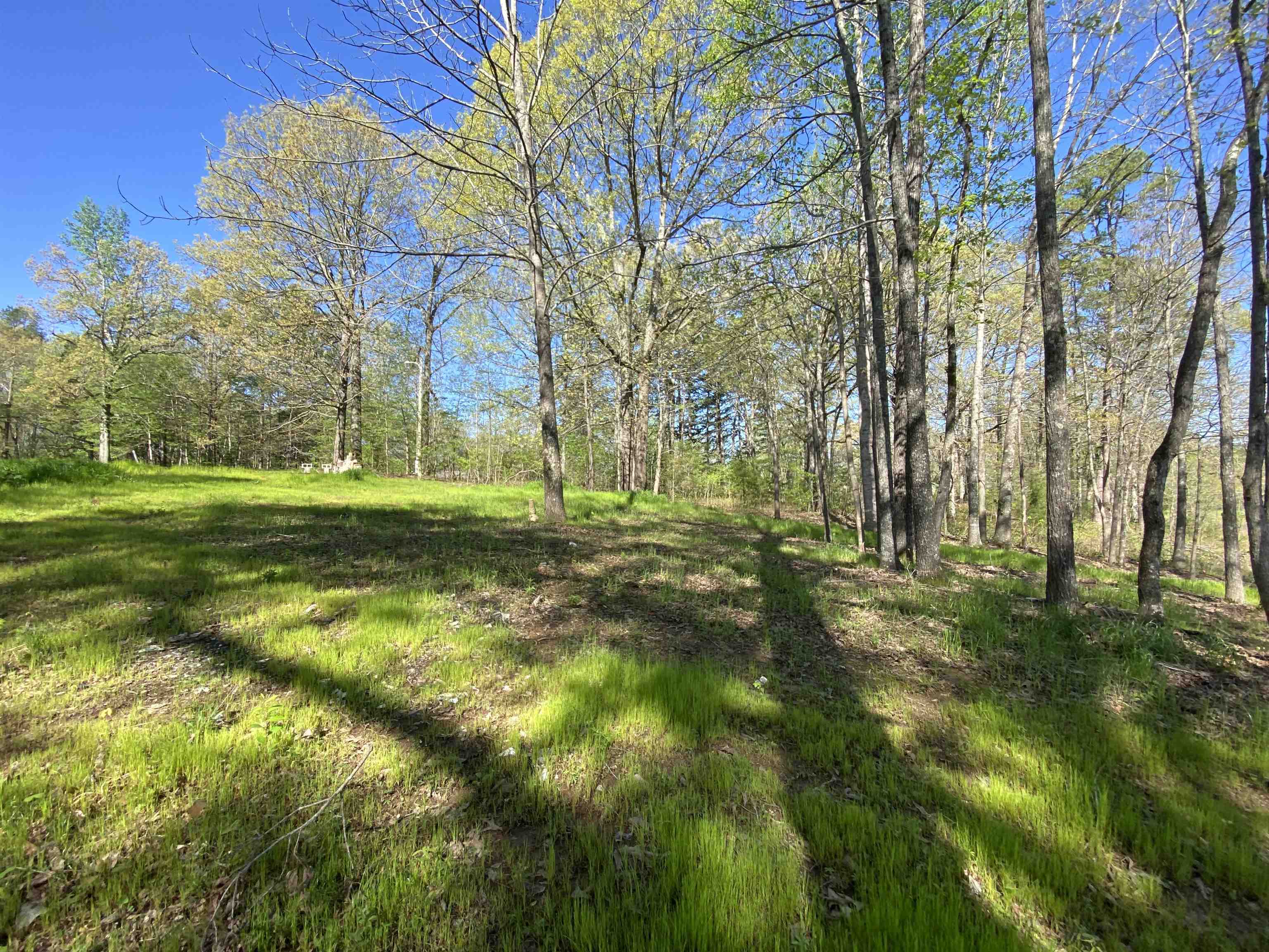 800 Rolling Brook, Somerville, Tennessee image 6