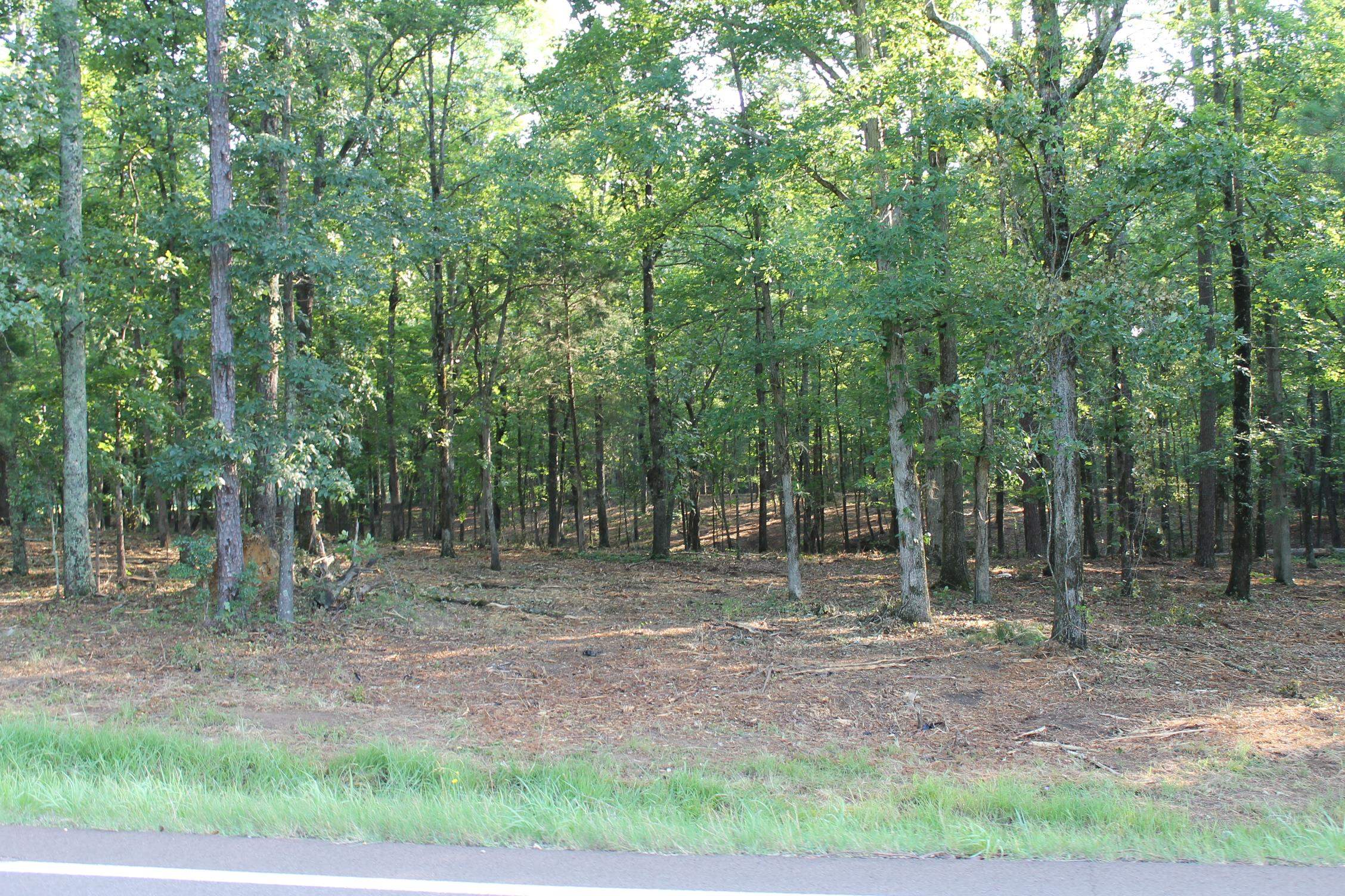 TRACT 6 EAST 57, Michie, Tennessee image 3