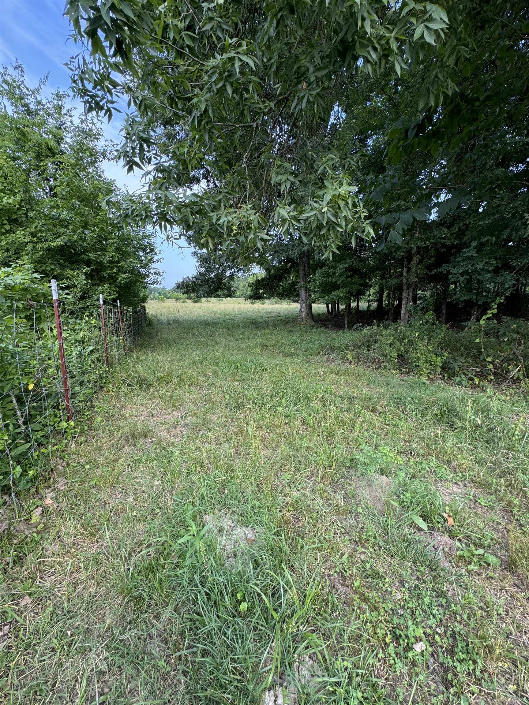 994 N PRATHER RD, MICHIE, TN 38357 Justin Johnson Realty