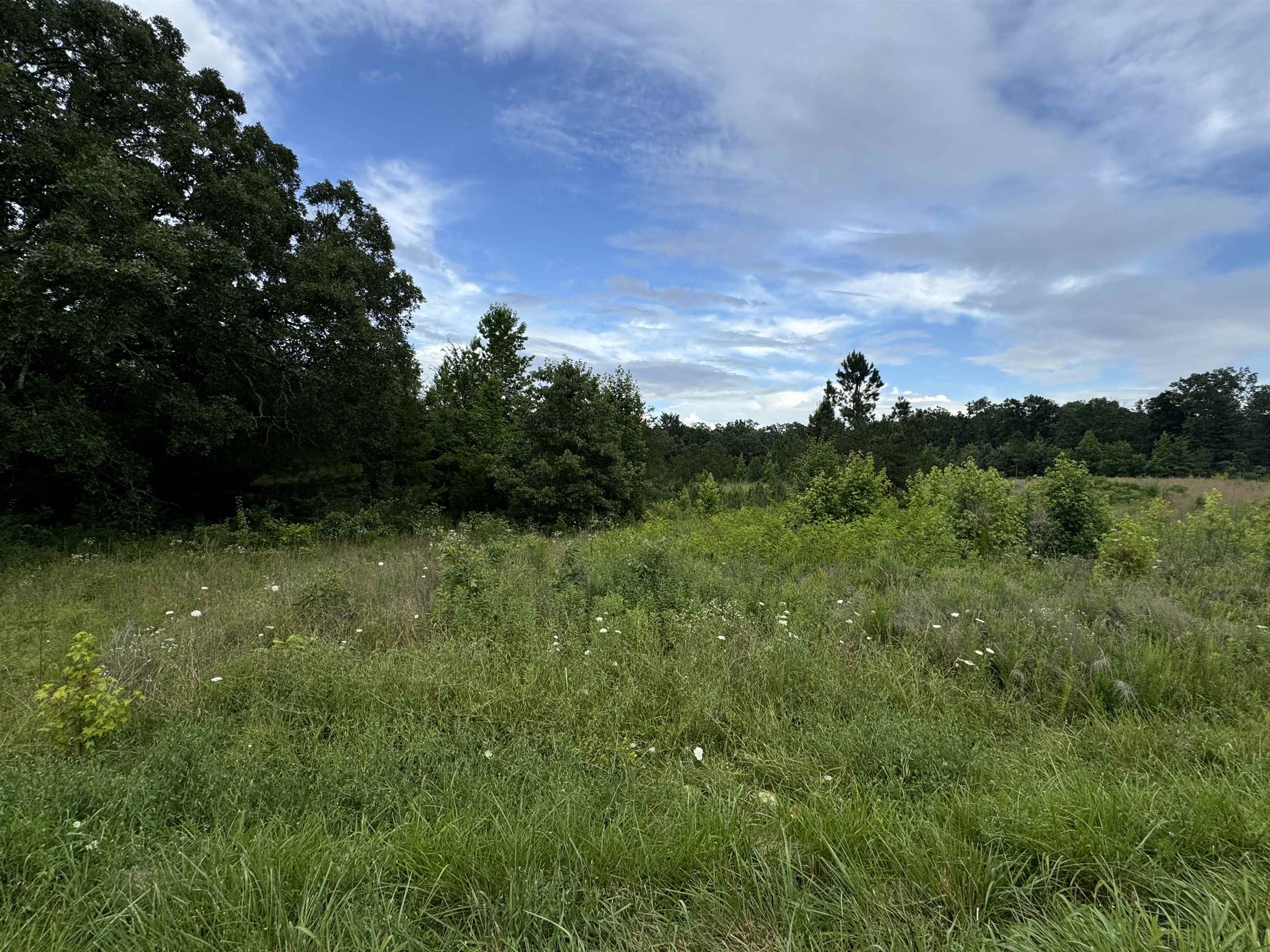 0 MILAM RD, FINGER, TN 38334 Farm & Home Realty Selmer, TN Real Estate