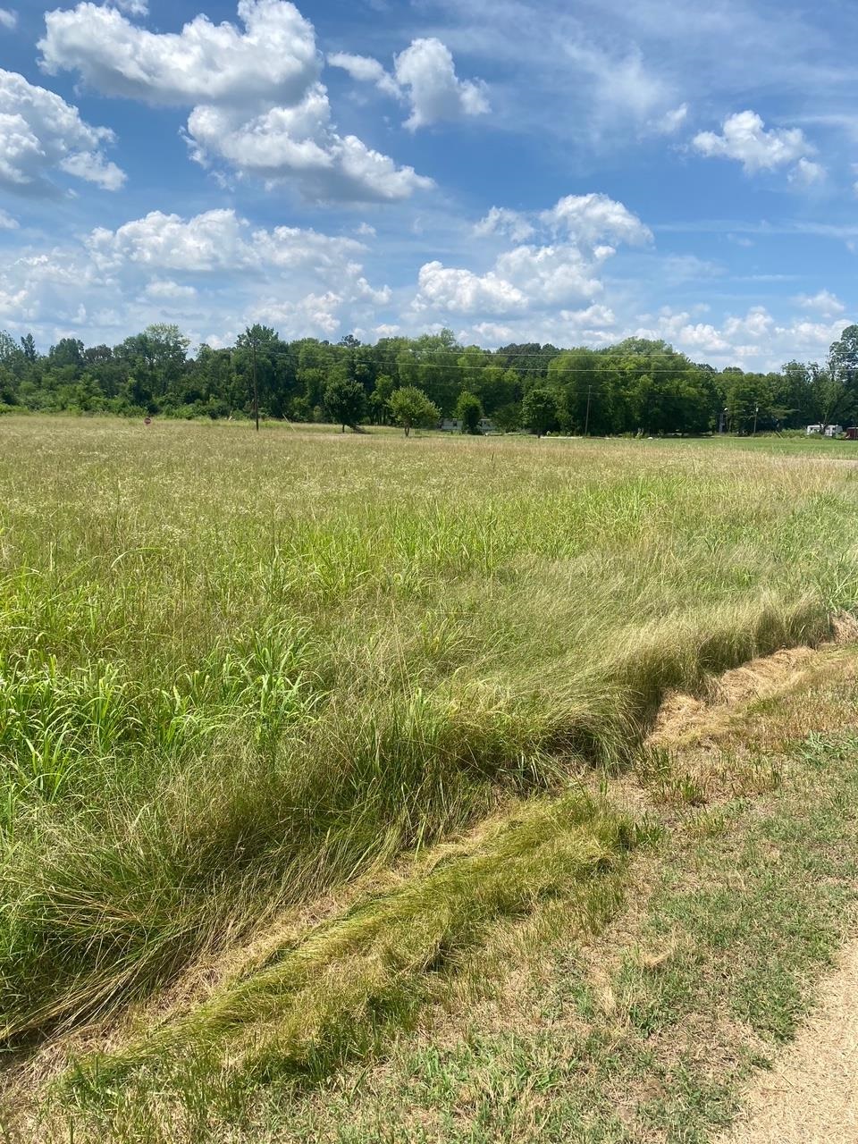 1 GANN RD, SELMER, TN 38375 Farm & Home Realty Selmer, TN Real Estate