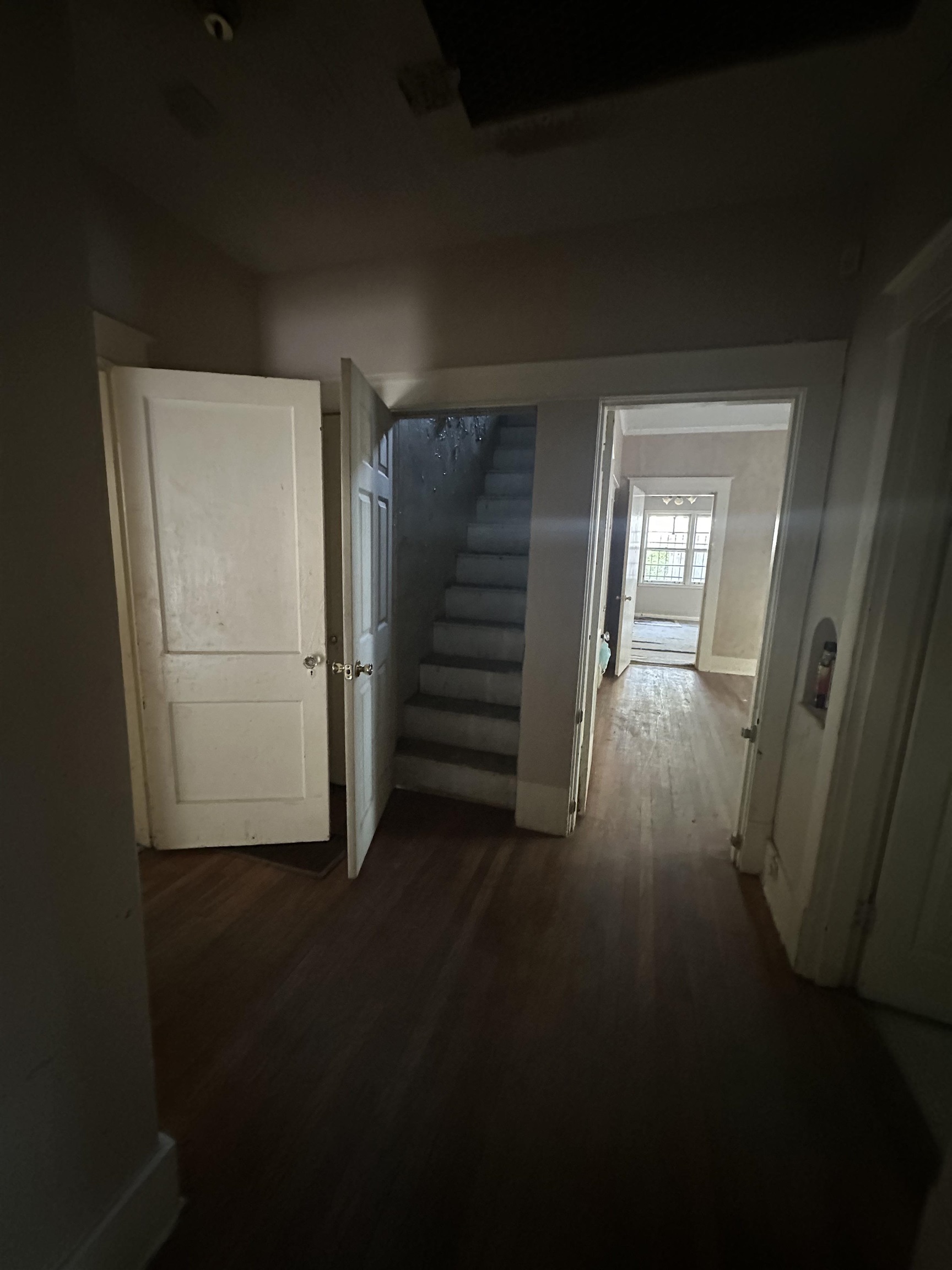 Hallway with dark hardwood / wood-style floors