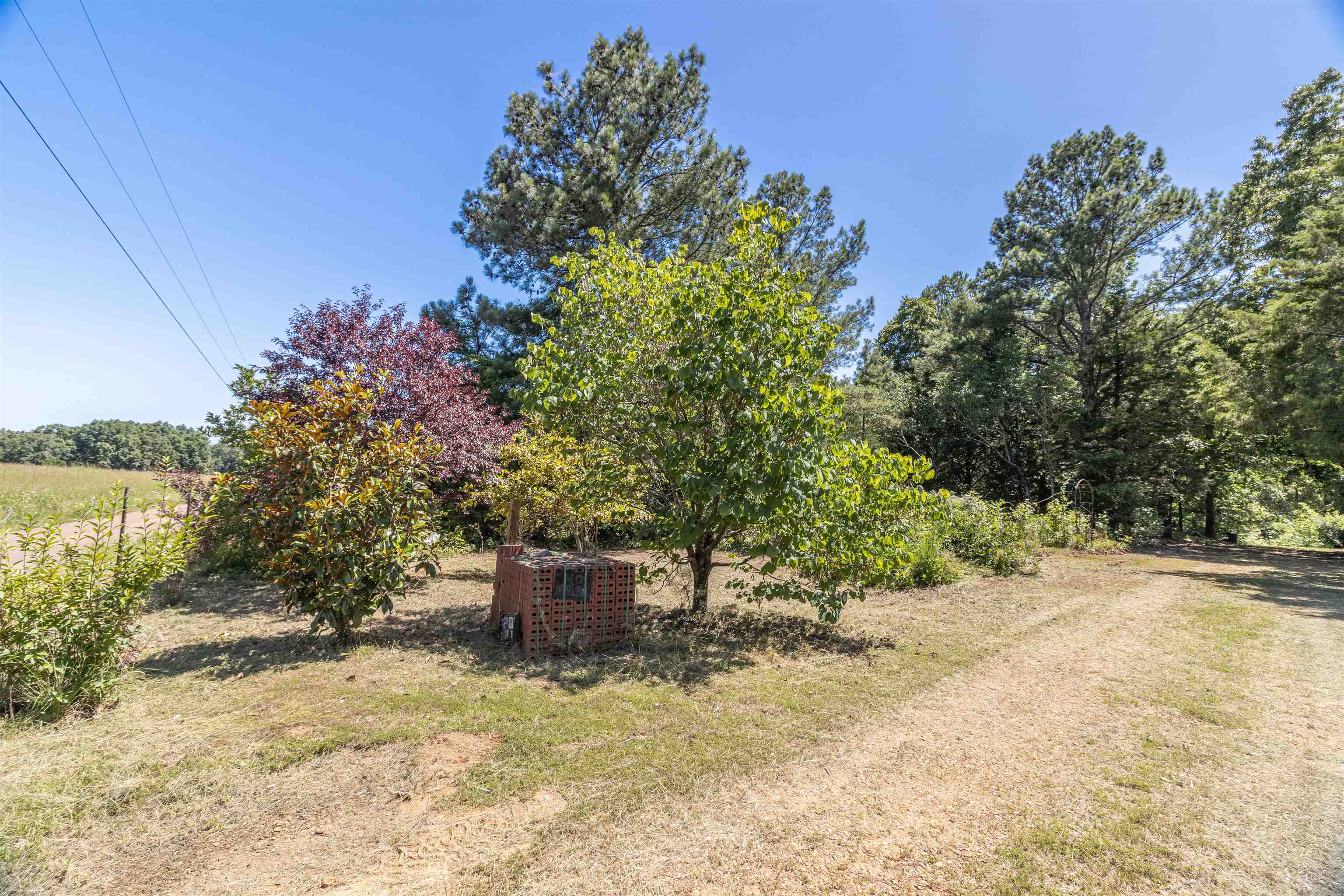 1960 ROCKY KNOB RD, FINGER, TN 38334 Farm & Home Realty Selmer, TN Real Estate