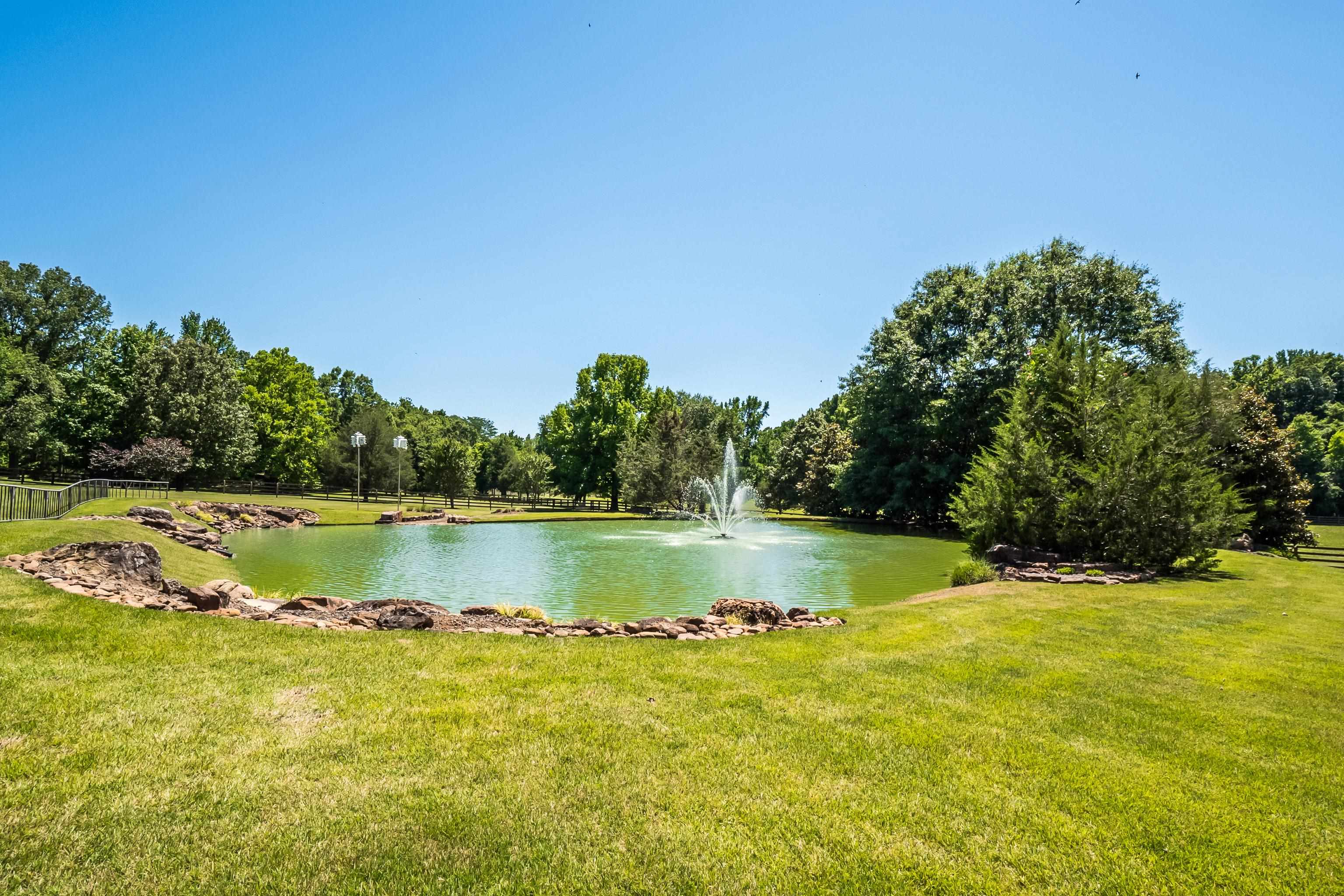 Second pond located behind the house