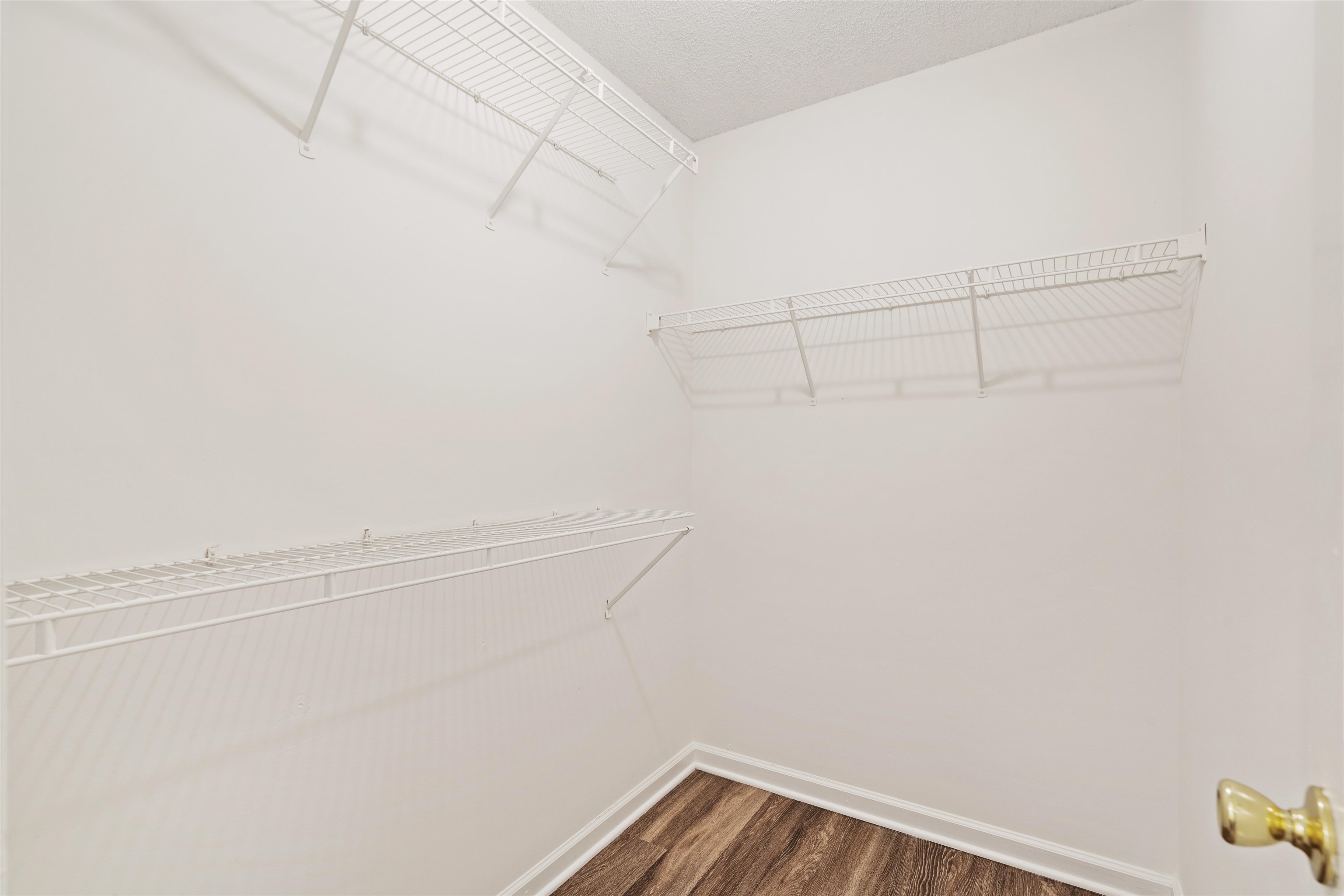 Spacious walk-in closet with wood-type flooring