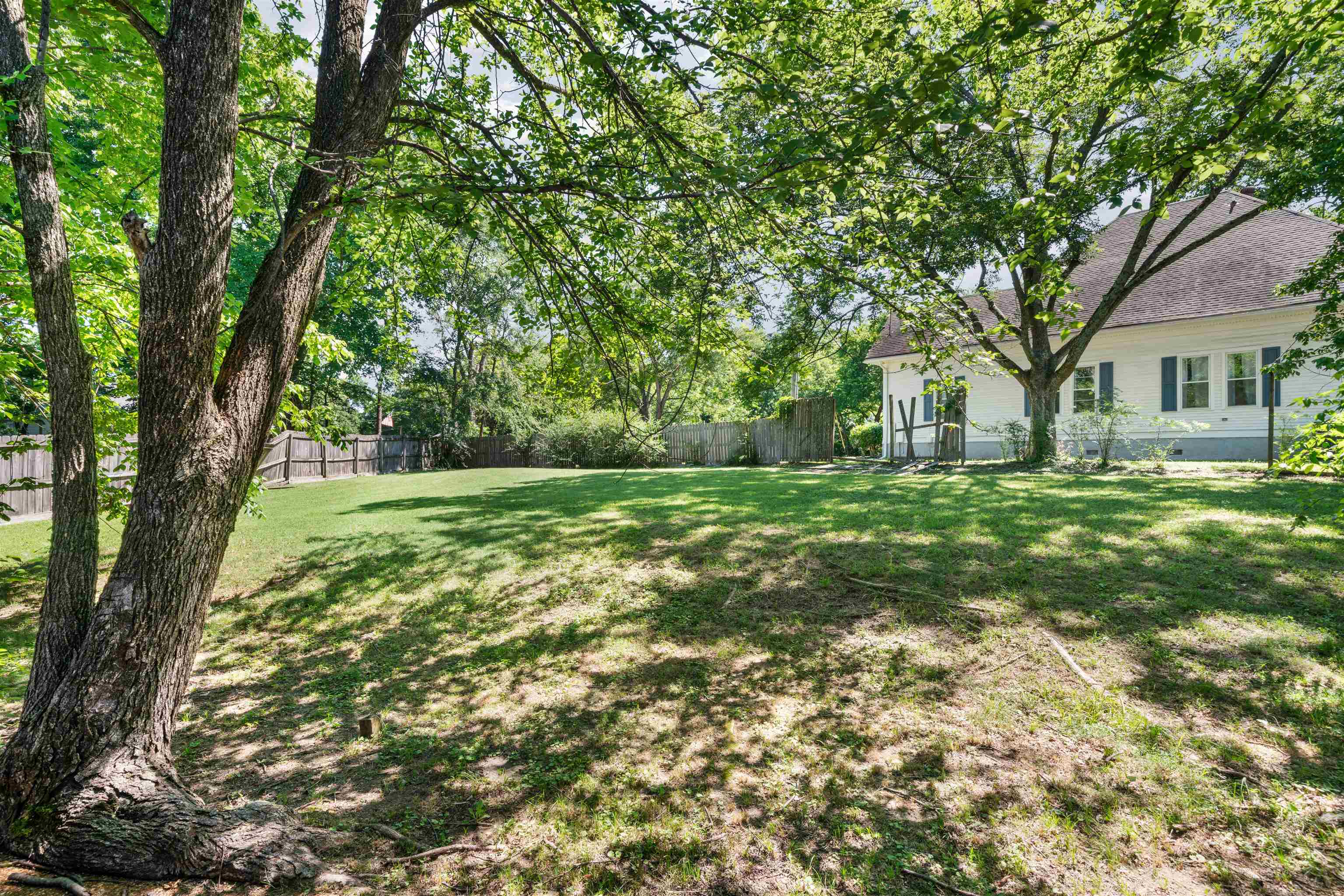Large rear yard area