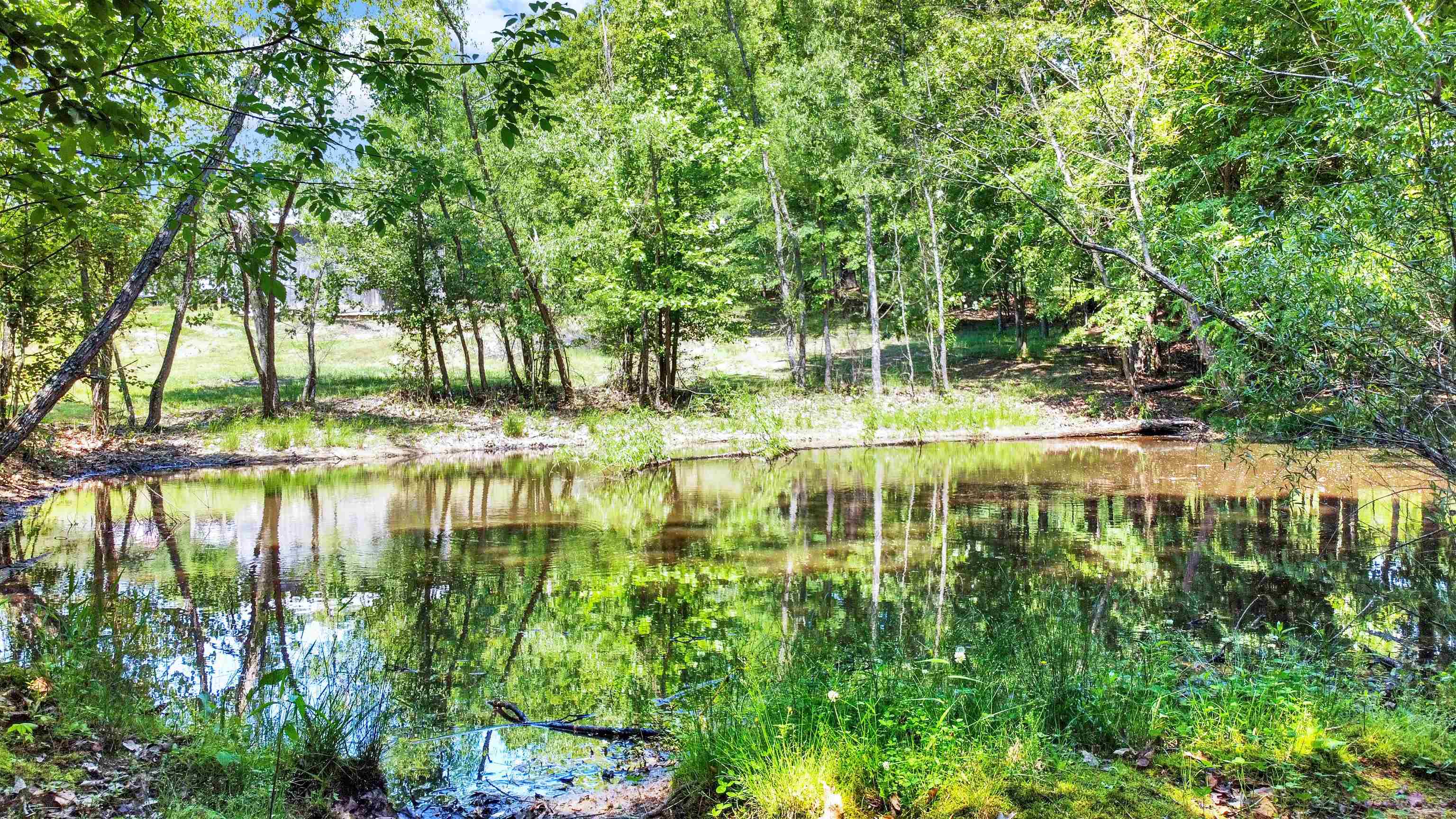 View of water feature