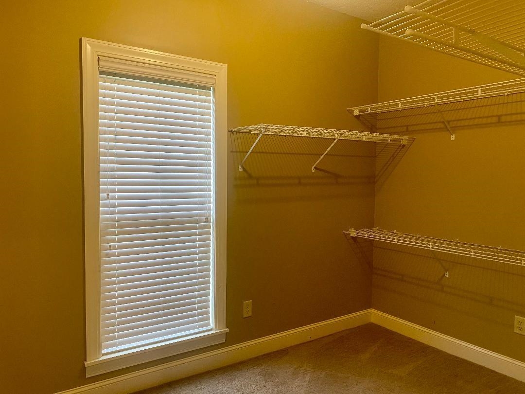 Walk in closet with carpet flooring