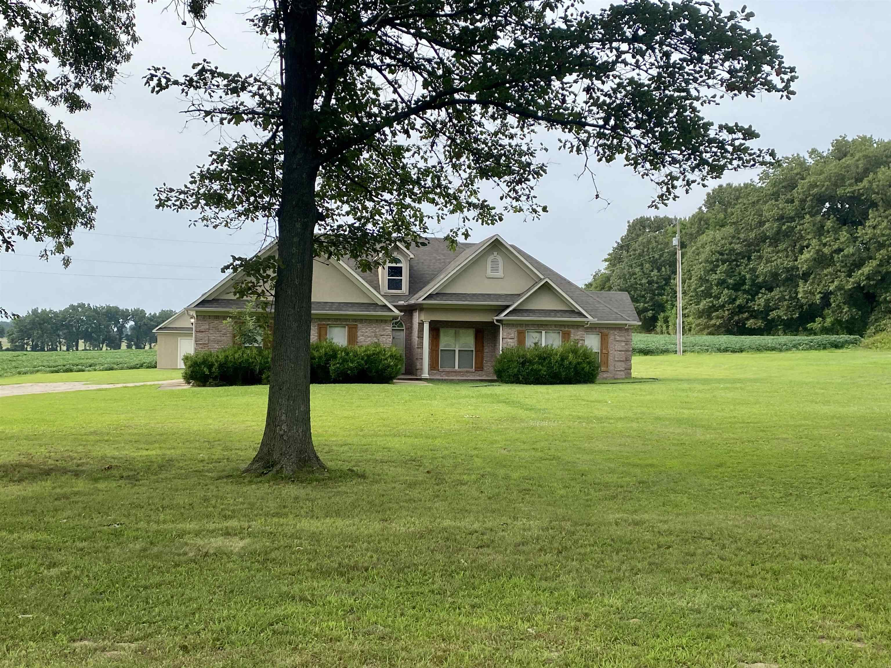 Craftsman-style house with a front lawn