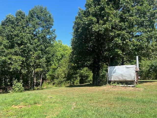 1230 Coy Hill, Olivehill, Tennessee image 34